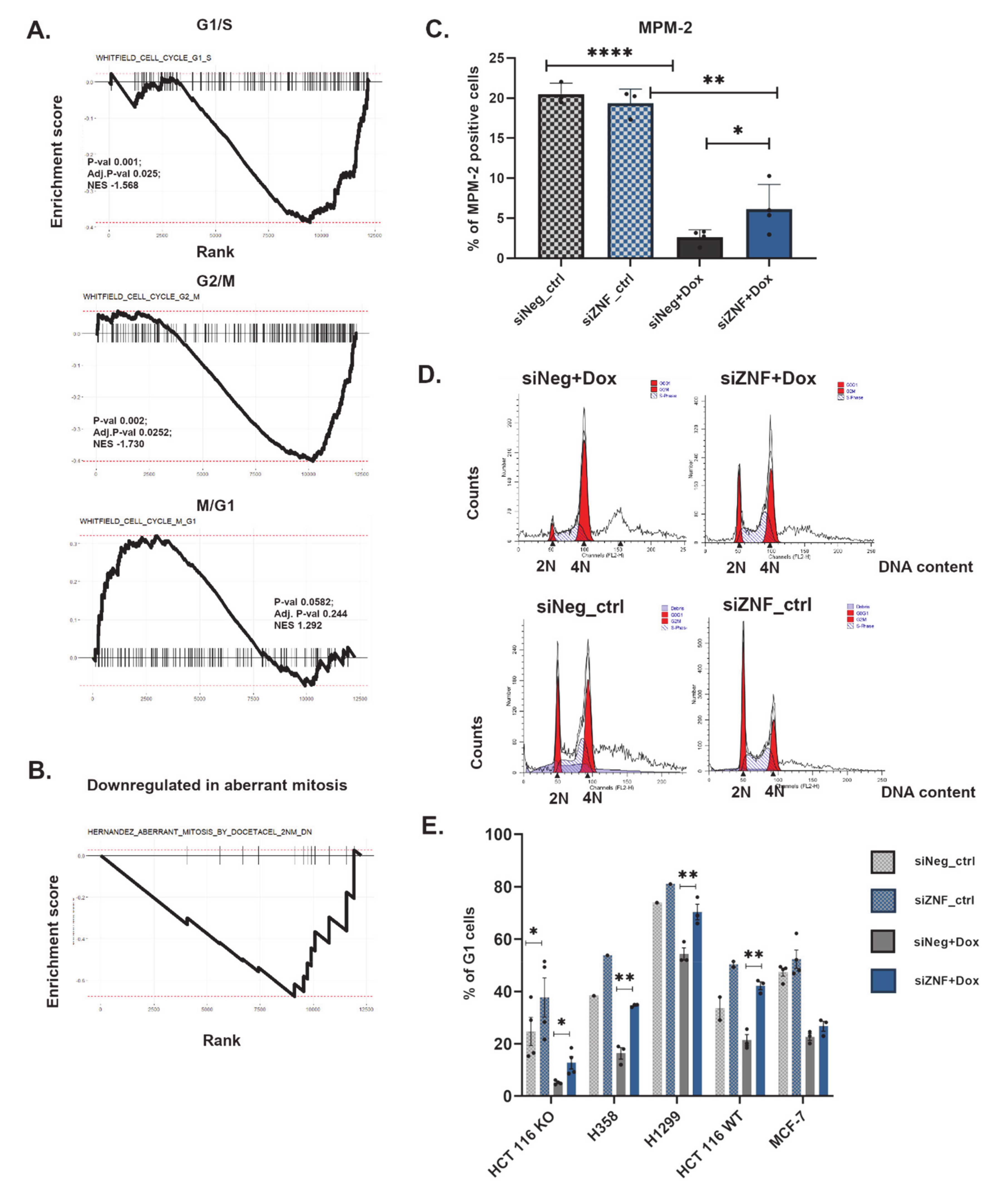 Cancers 13 02115 g004