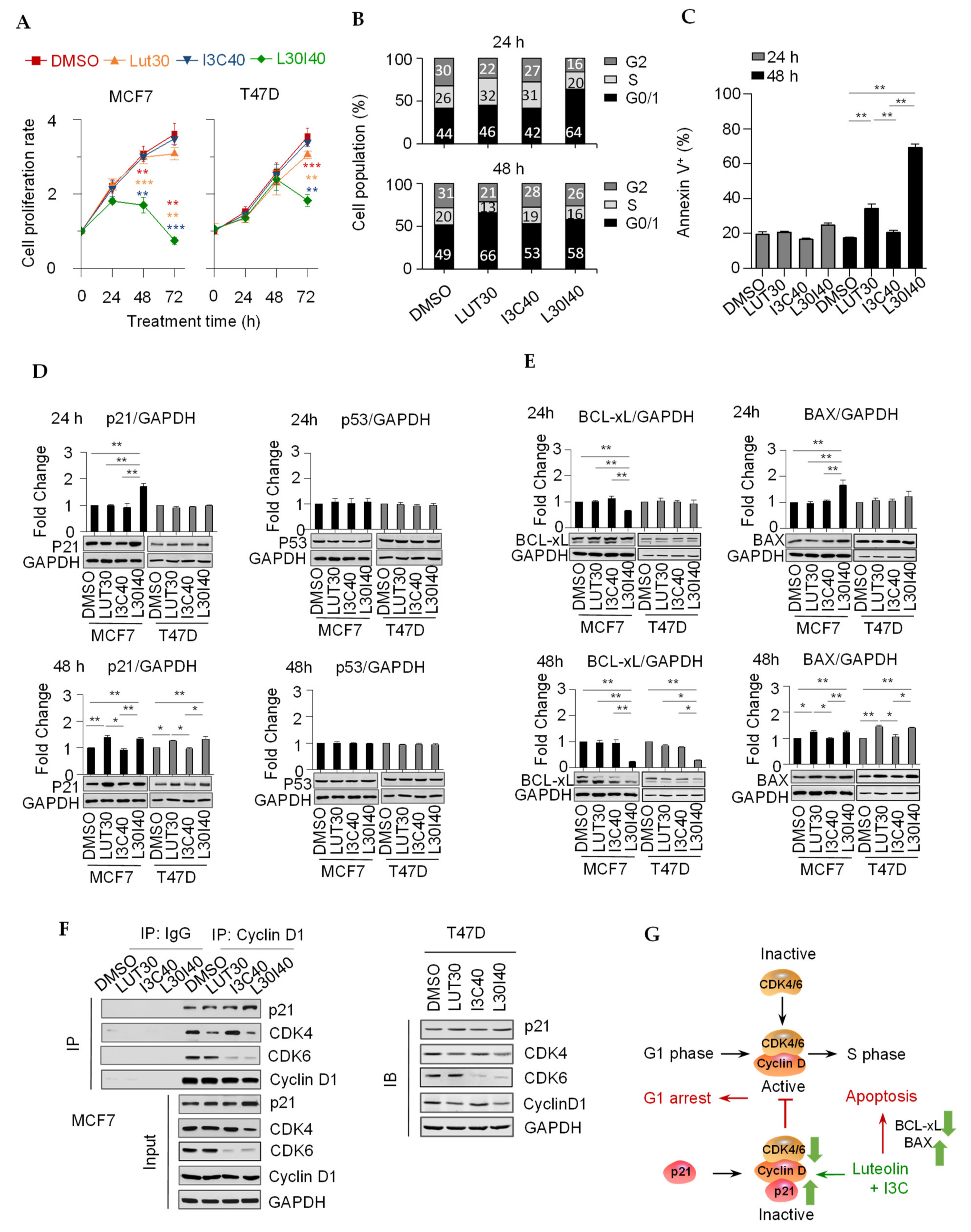 Cancers 13 02116 g002