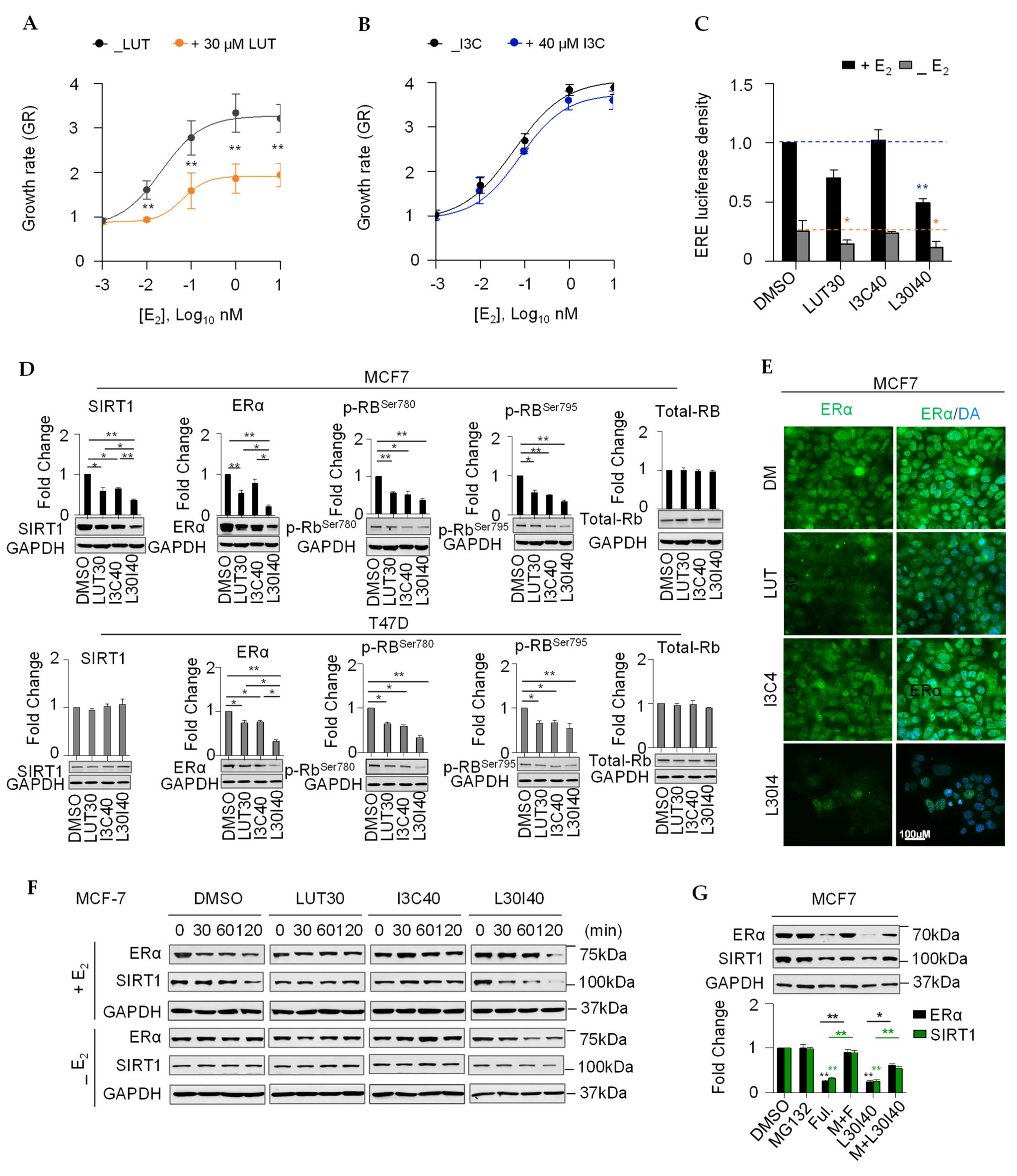 Cancers 13 02116 g003