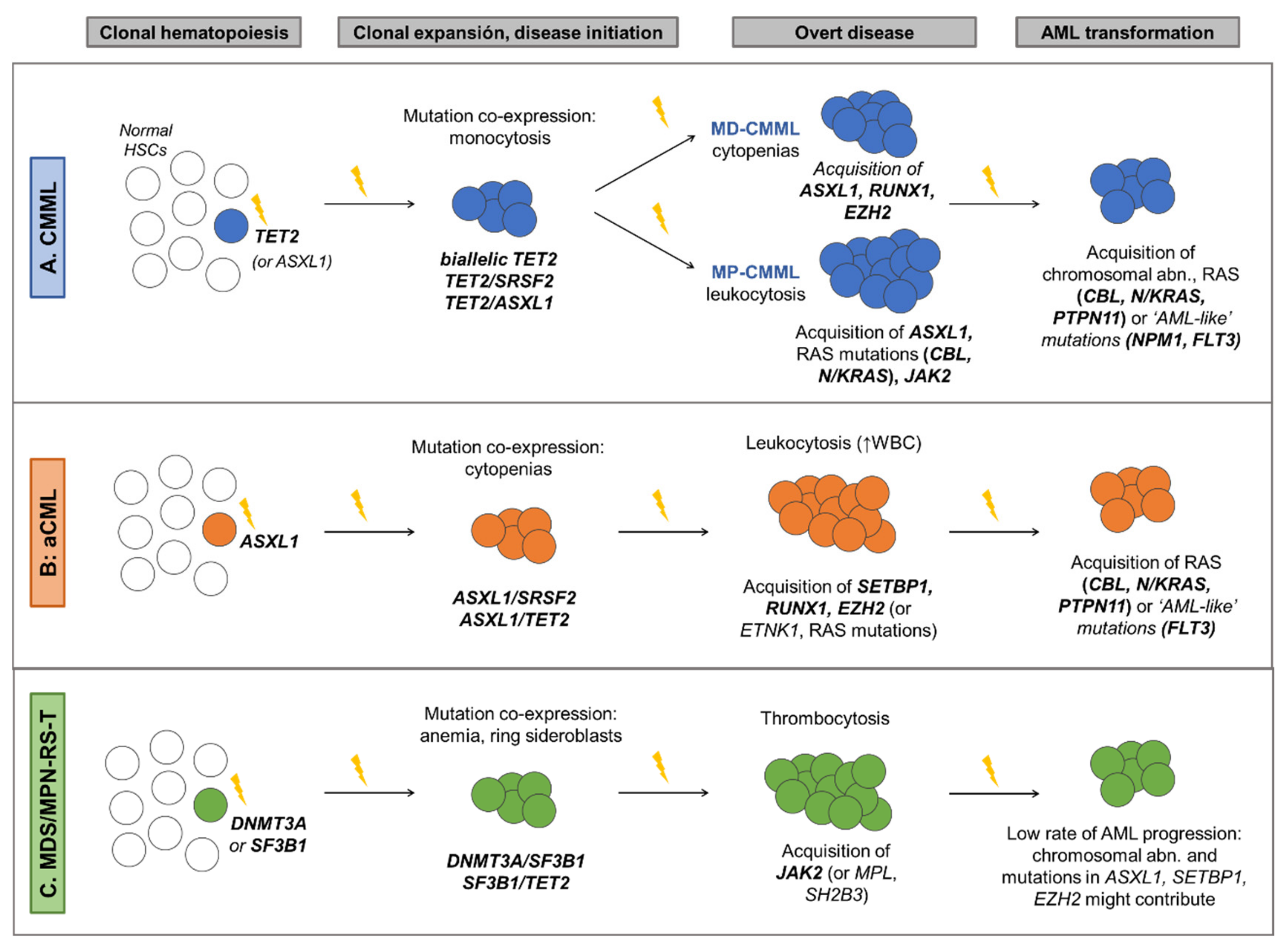 Cancers 13 02120 g003