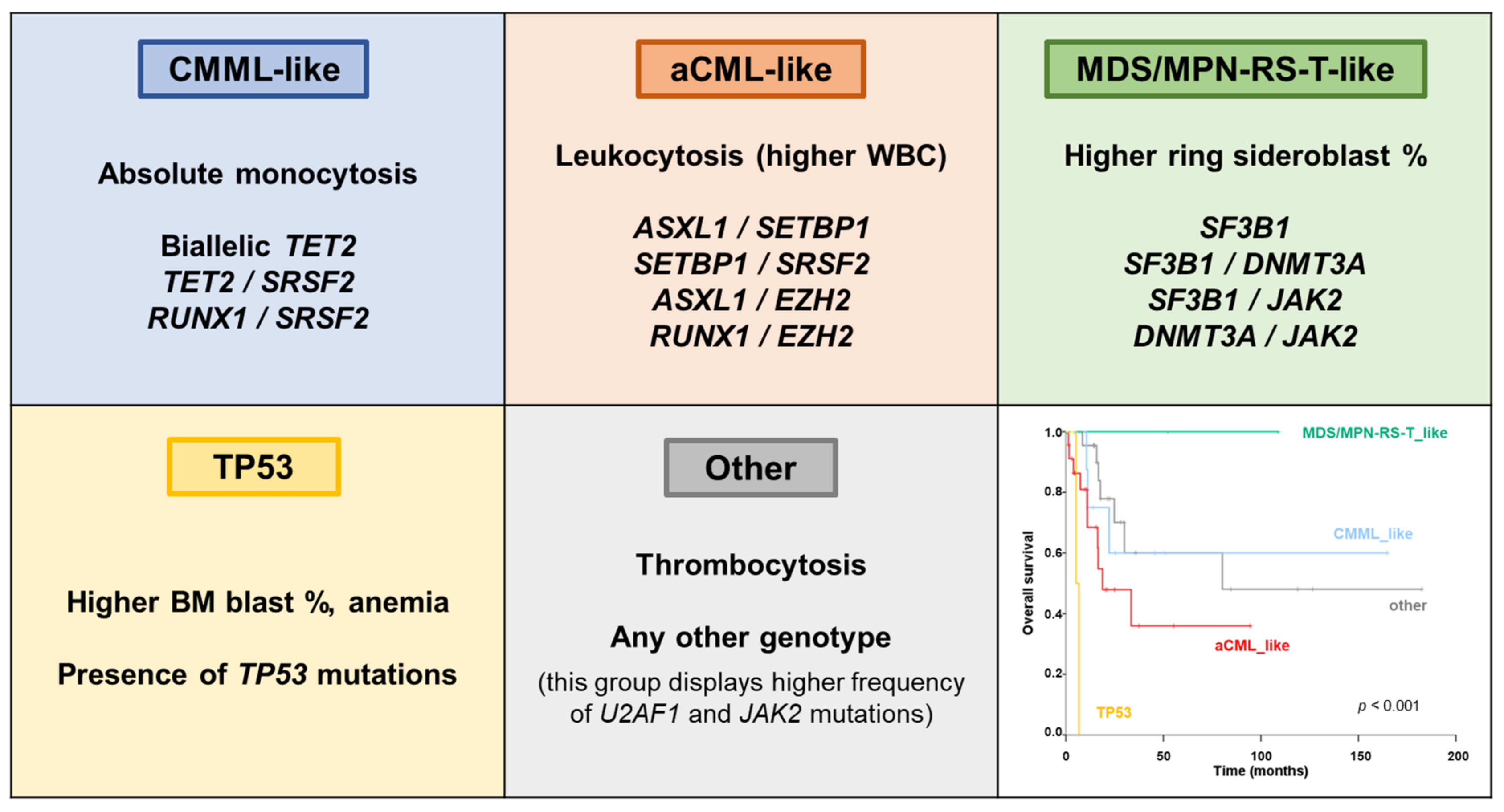 Cancers 13 02120 g004