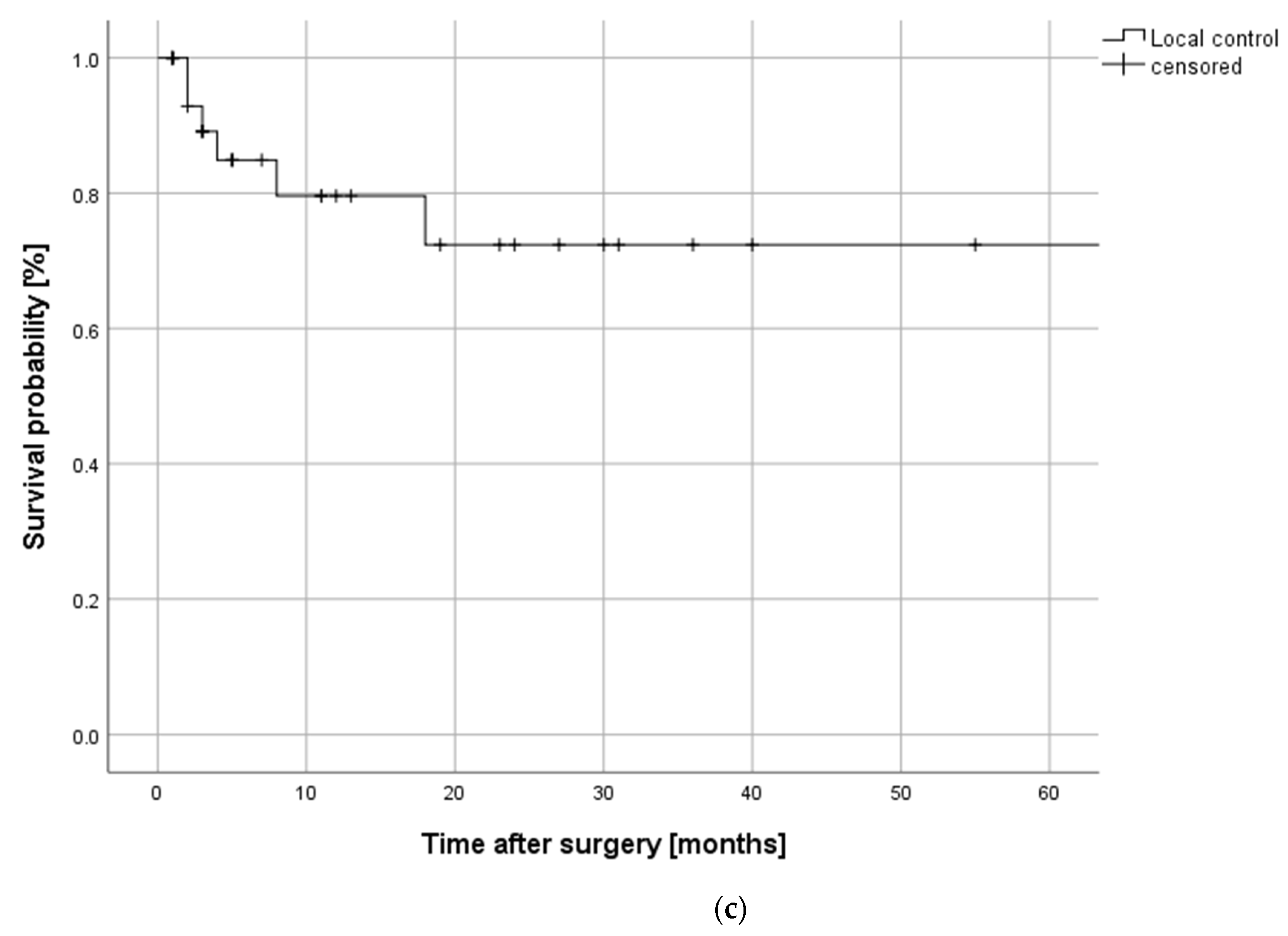 Cancers 13 02122 g002b Cancers 13 02122 g002b