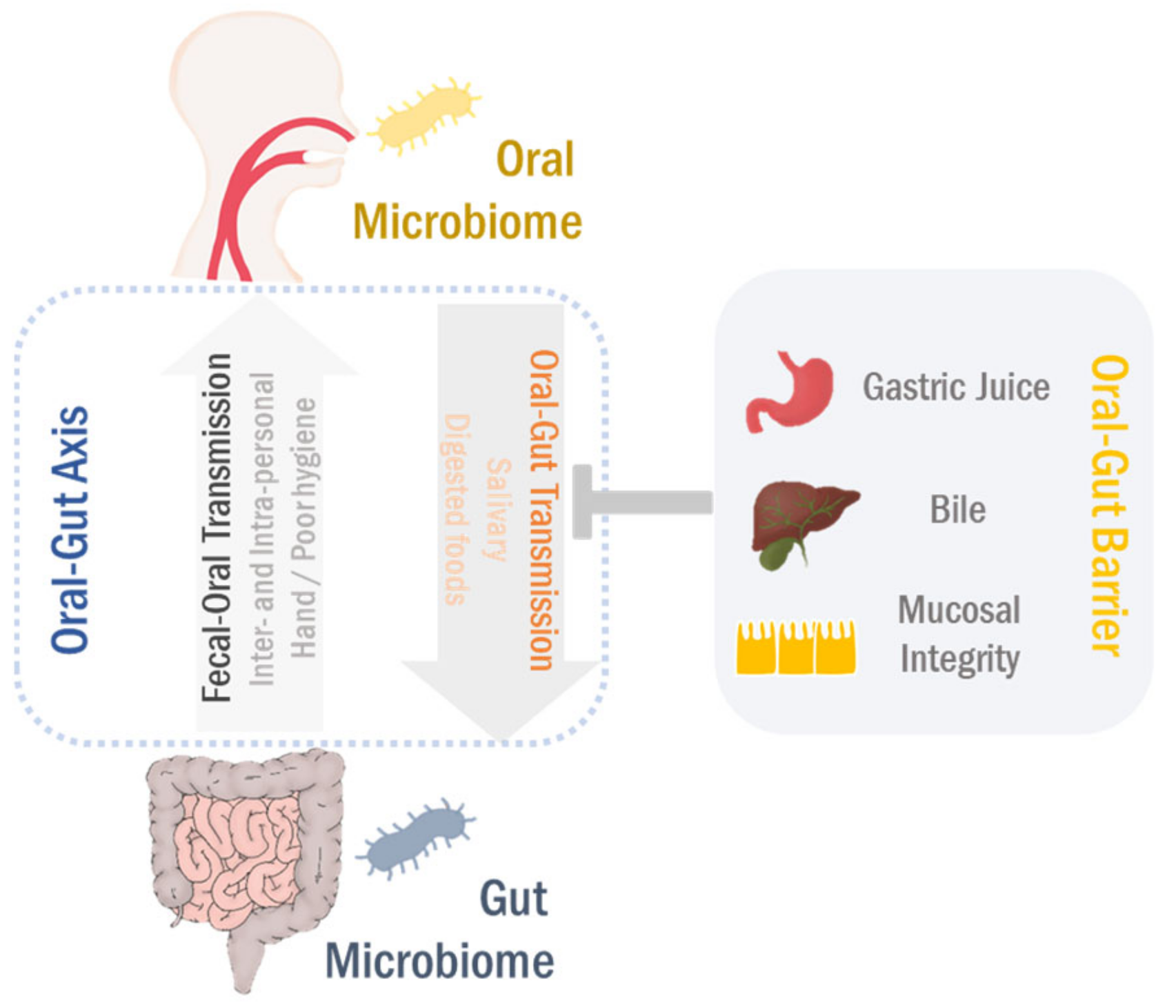 Cancers 13 02124 g002