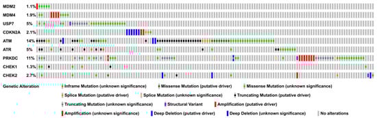 Cancers 13 02125 g006