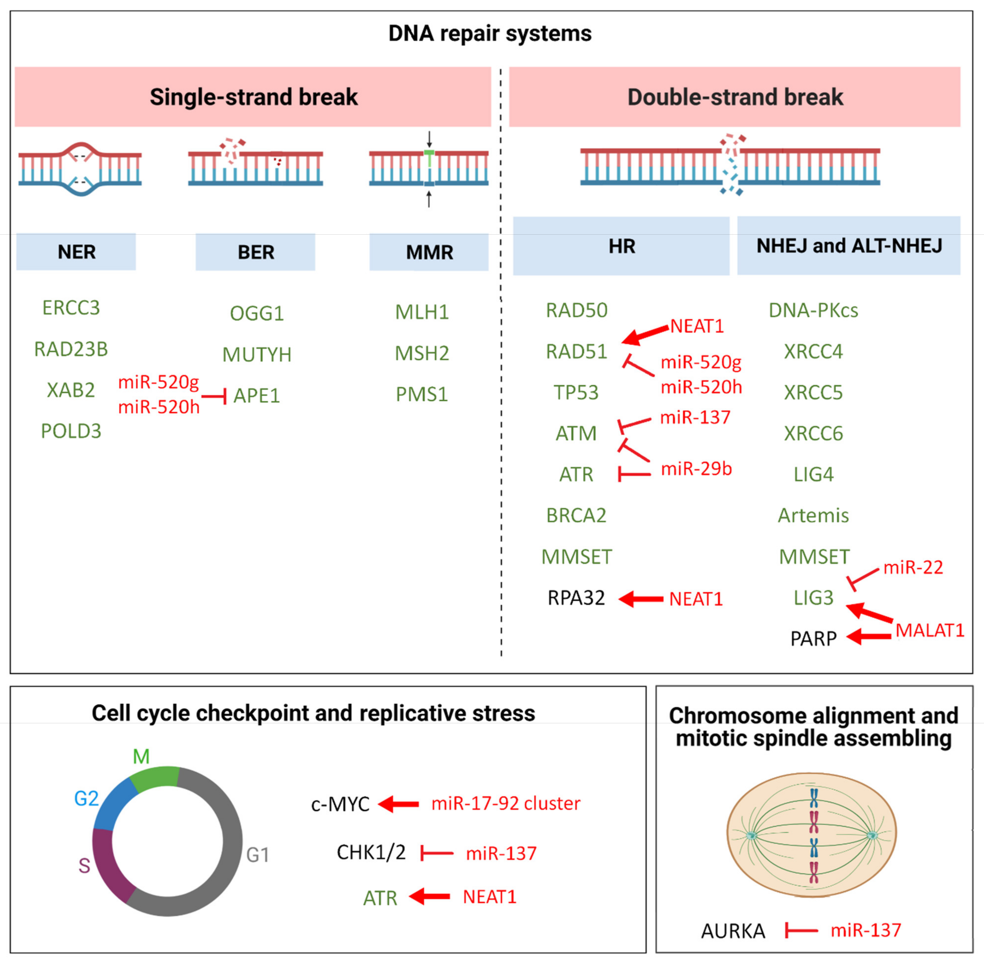 Cancers 13 02127 g001