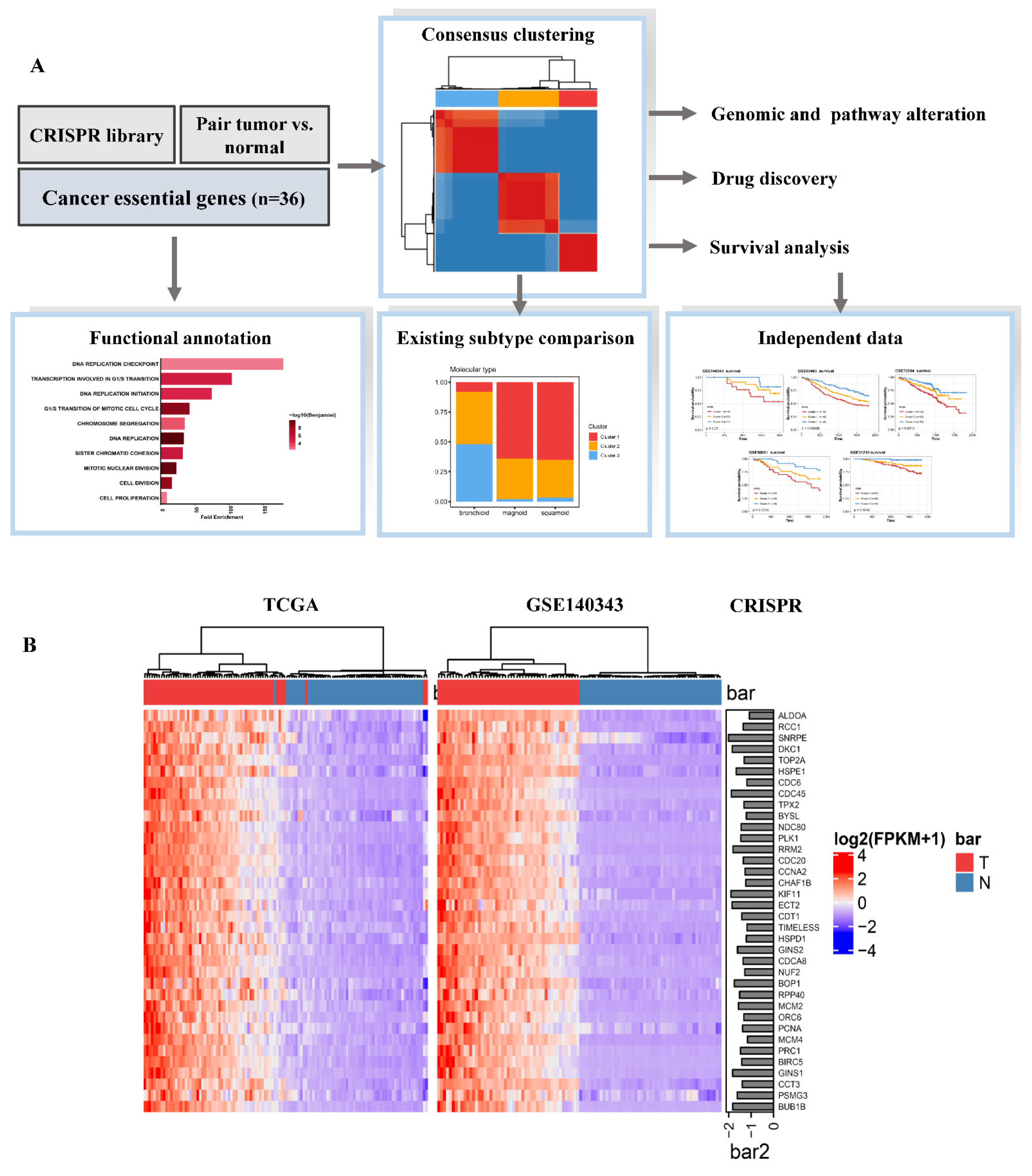 Cancers 13 02128 g001a