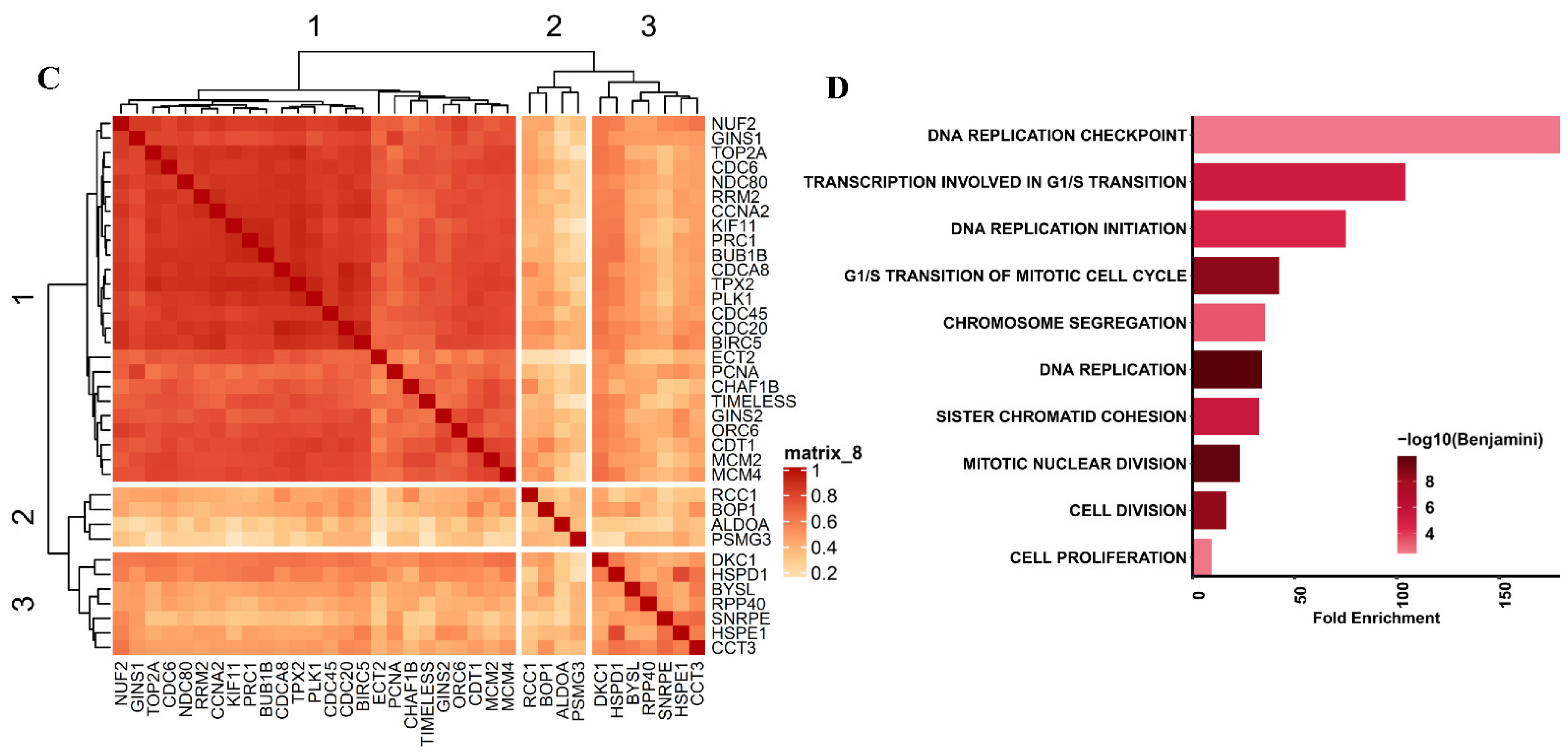 Cancers 13 02128 g001b