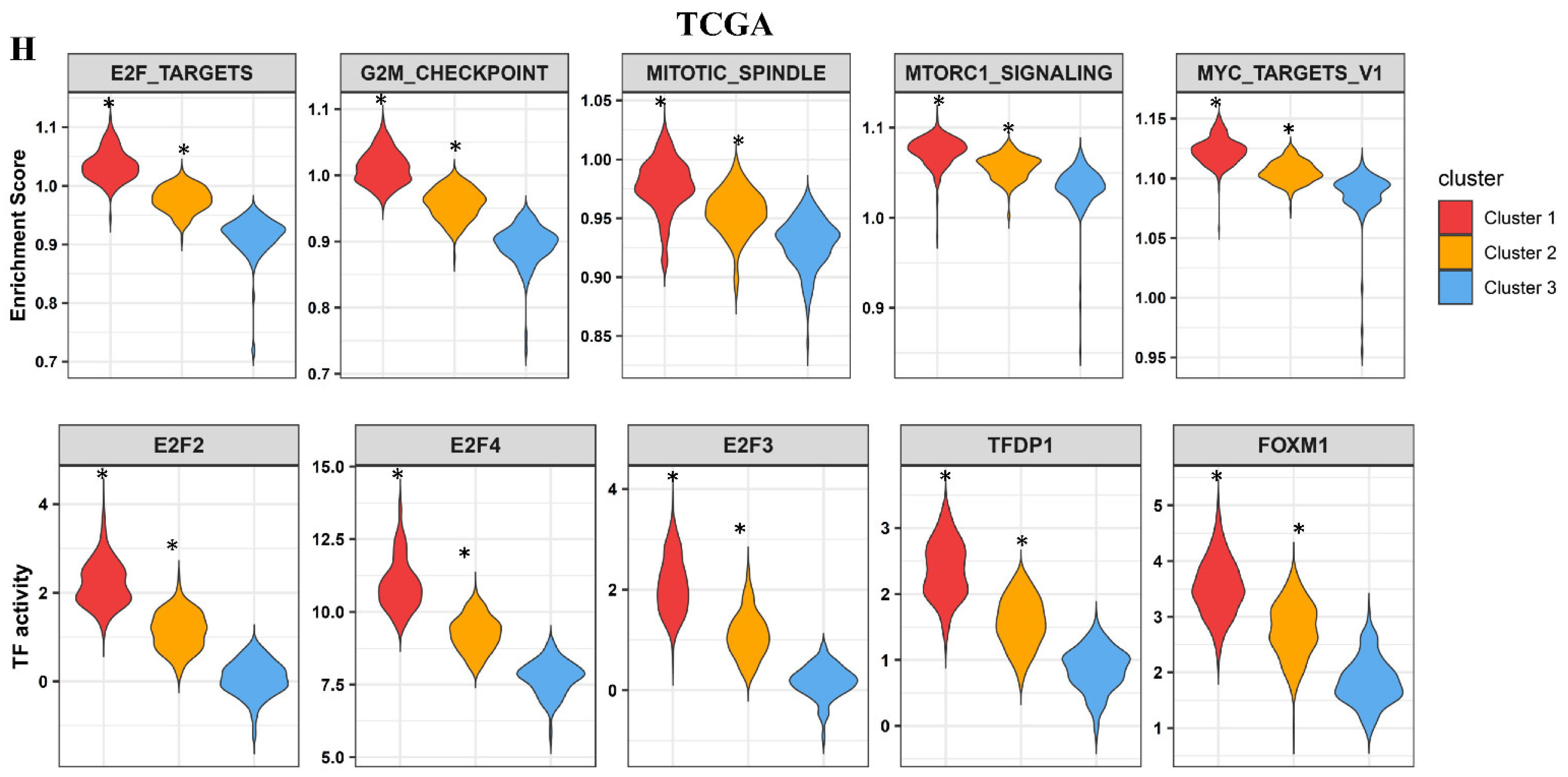 Cancers 13 02128 g002b