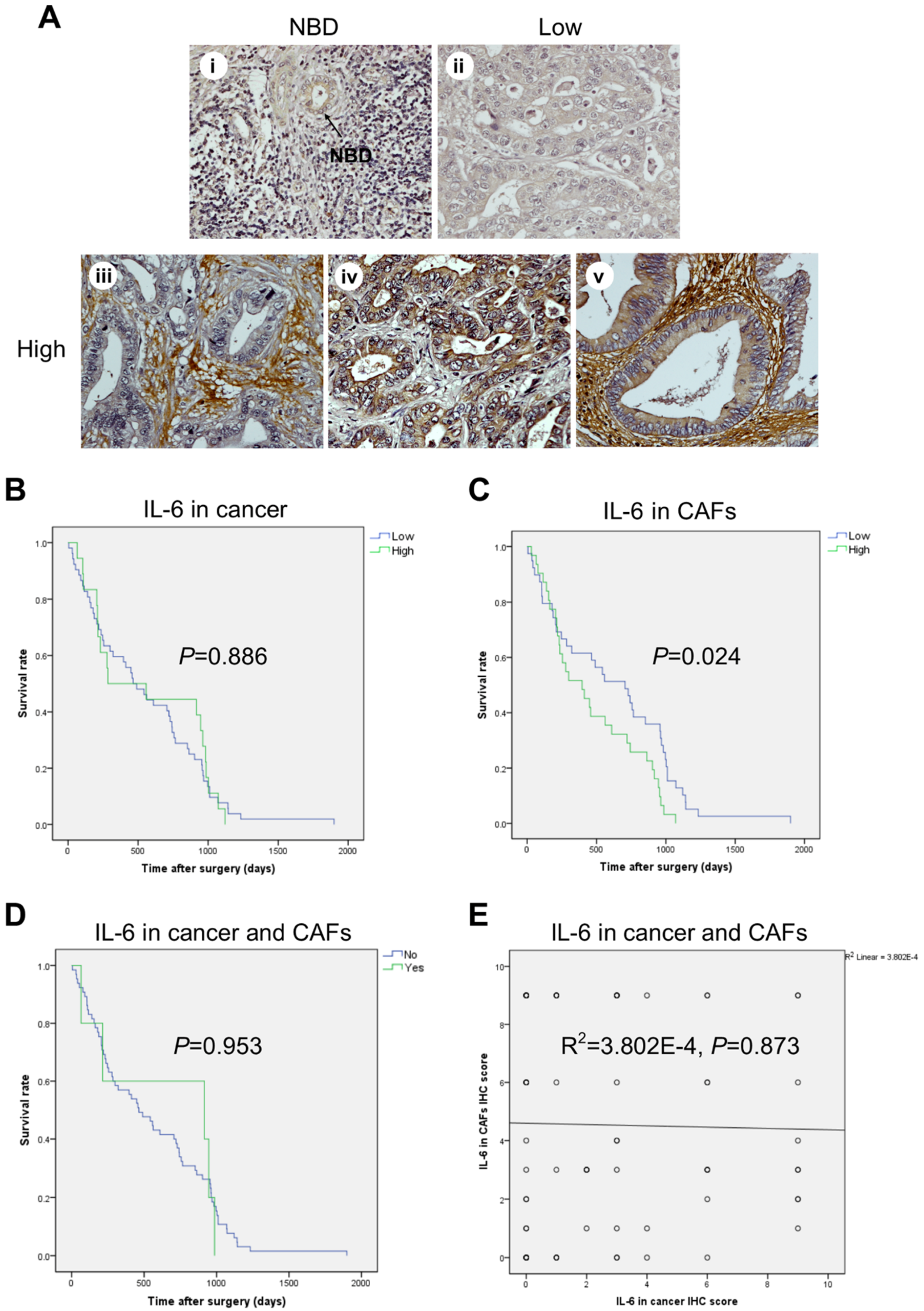 Cancers 13 02134 g001