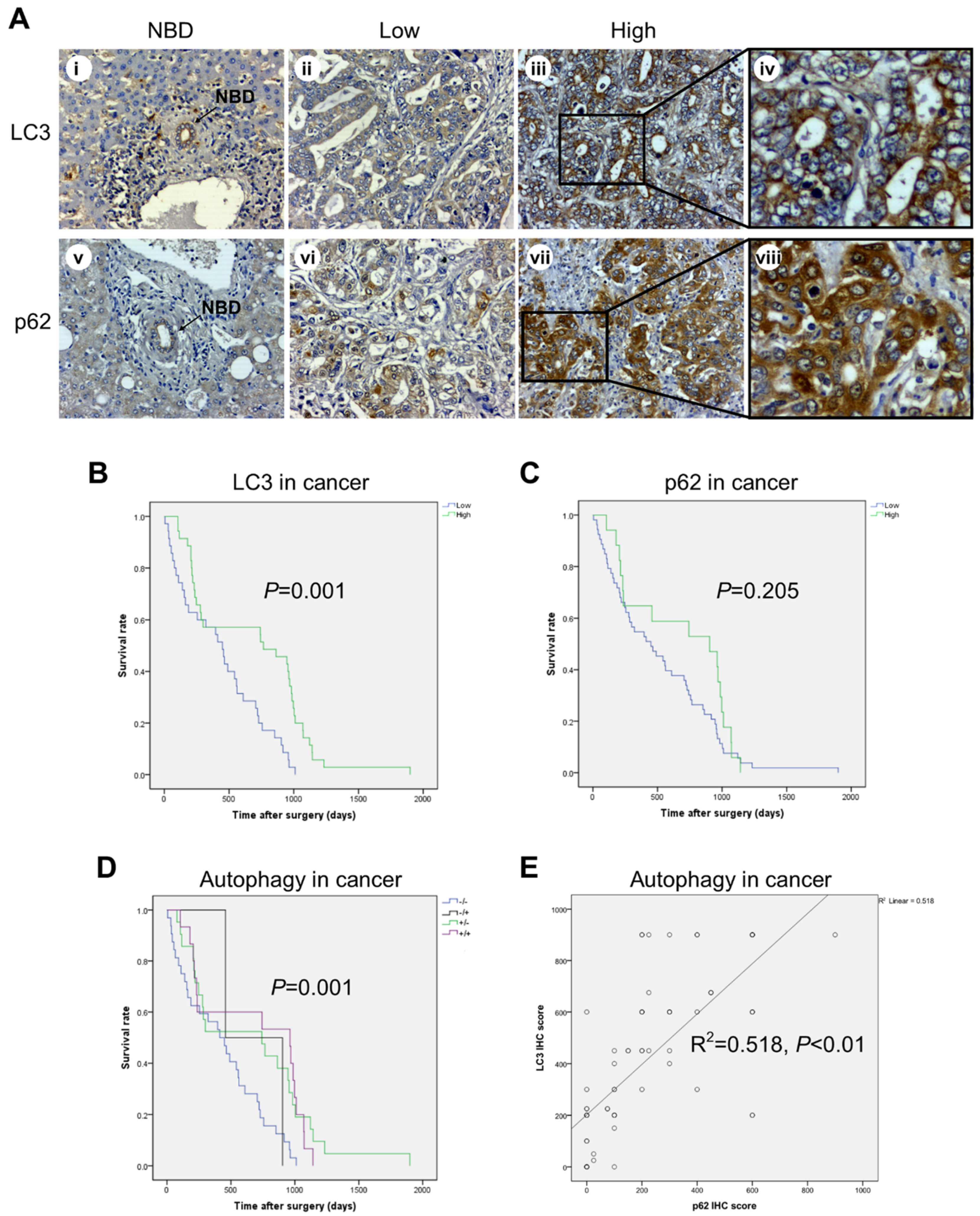Cancers 13 02134 g002