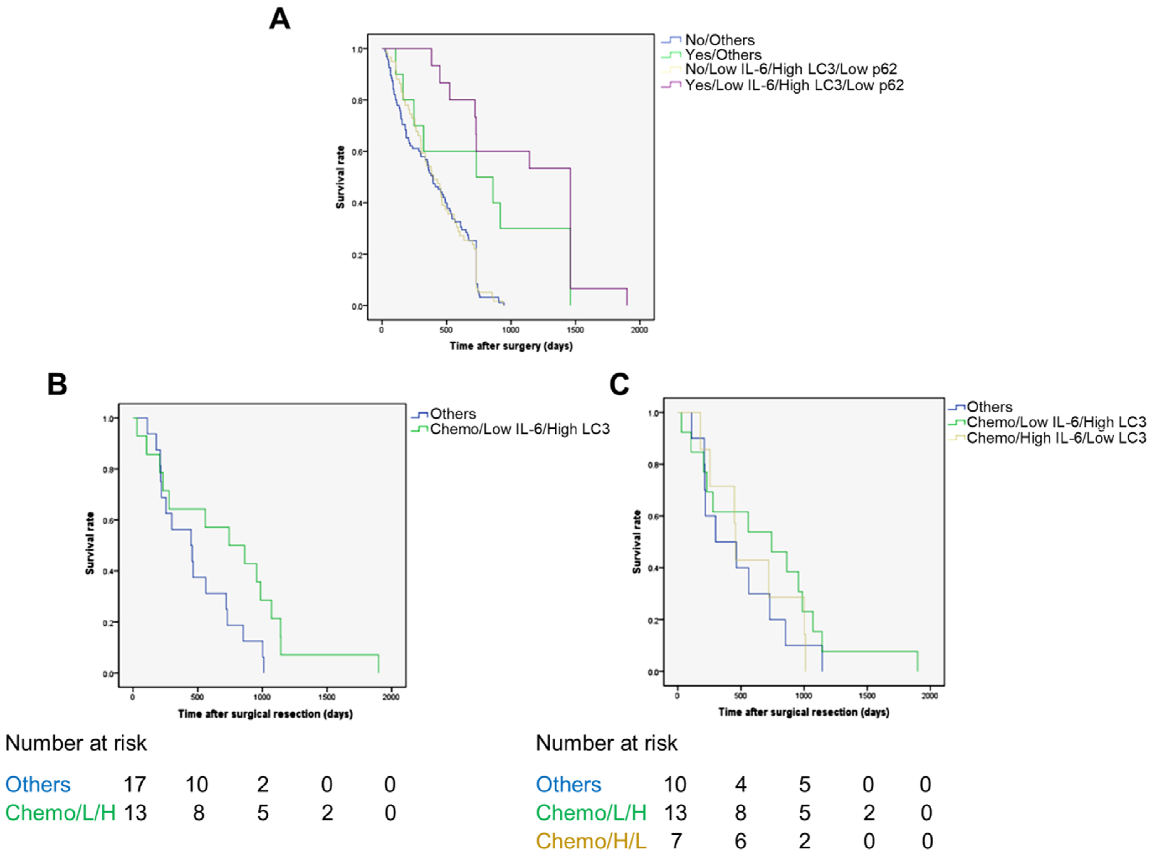 Cancers 13 02134 g004