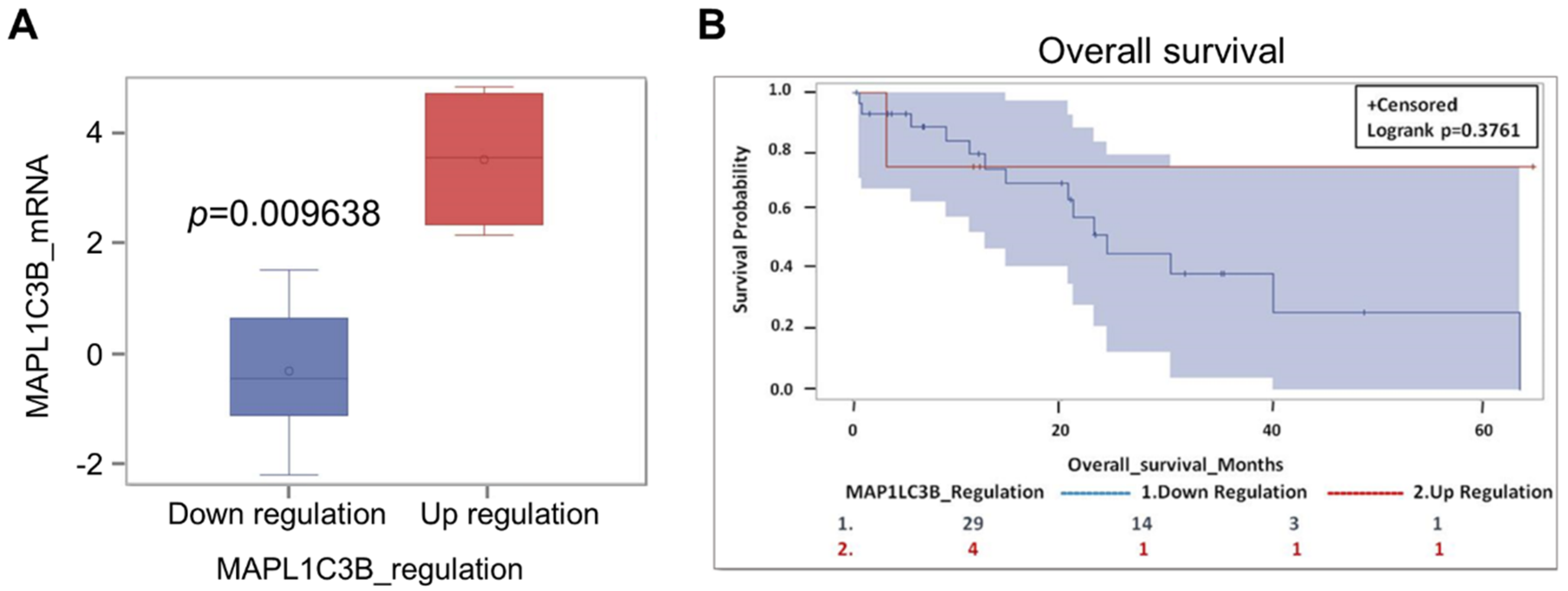 Cancers 13 02134 g005
