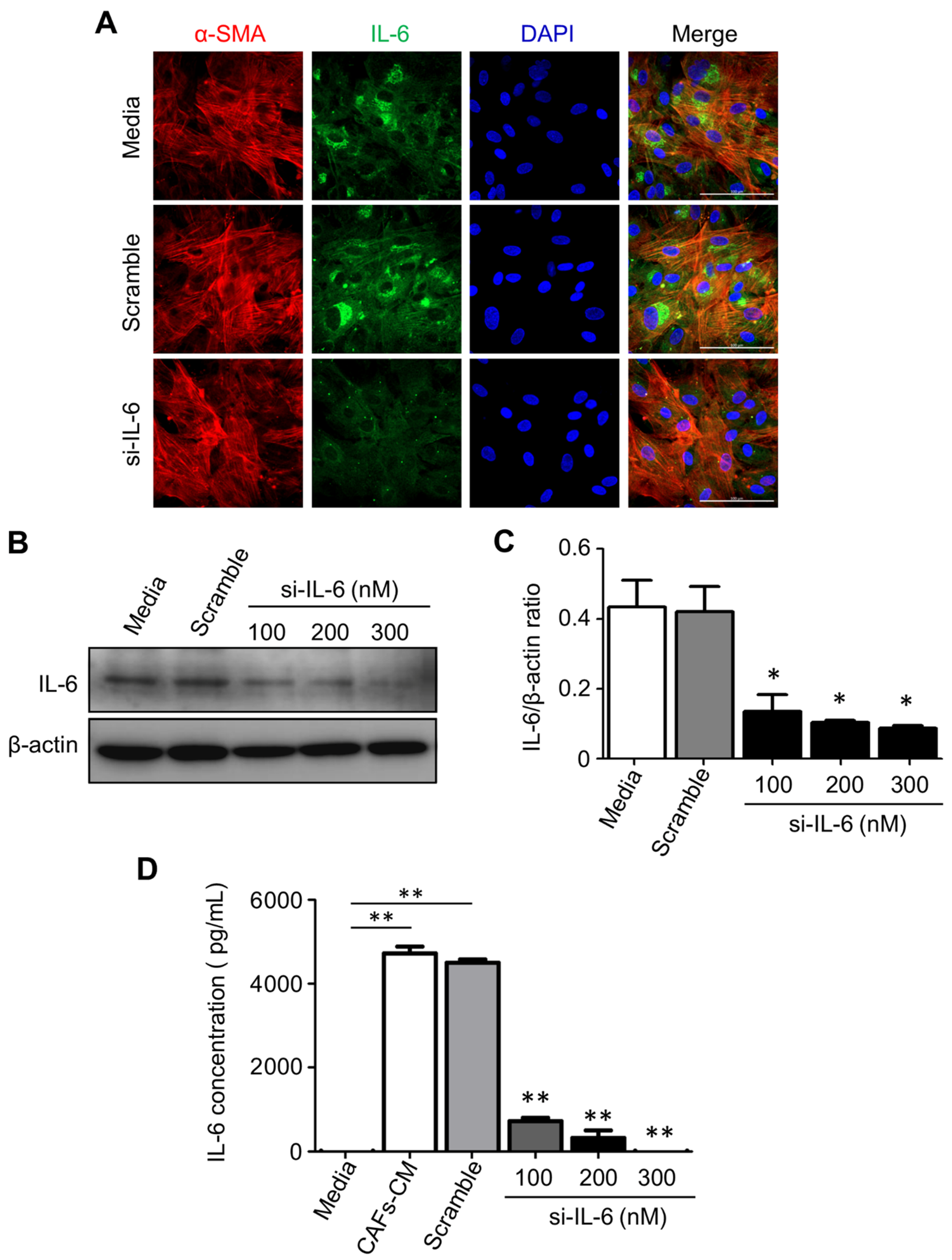 Cancers 13 02134 g006