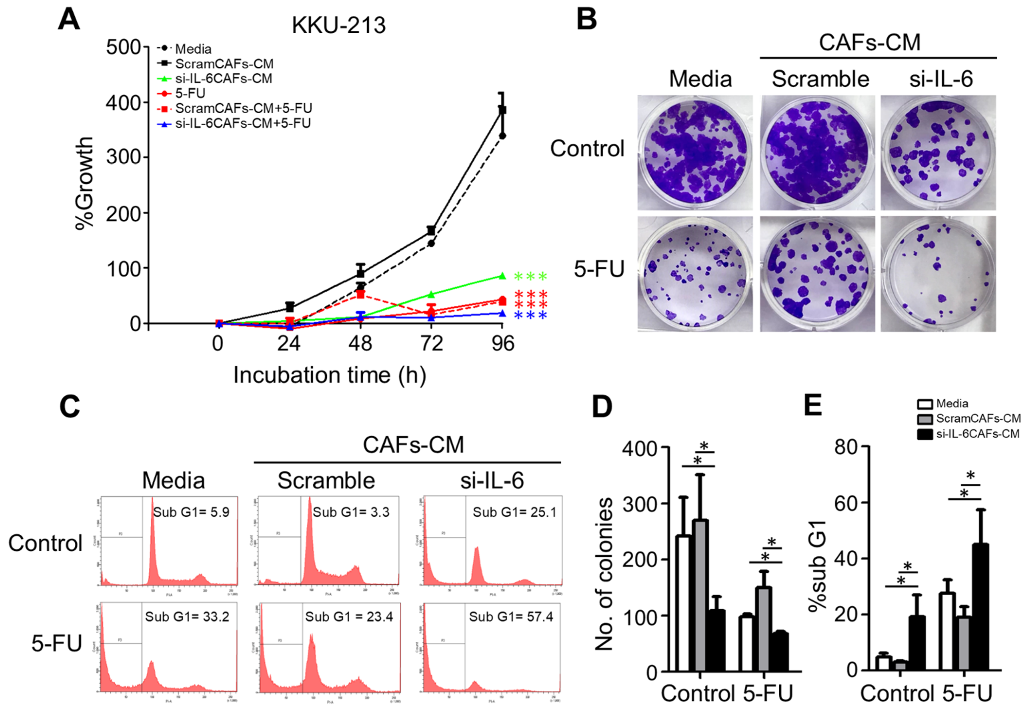 Cancers 13 02134 g007