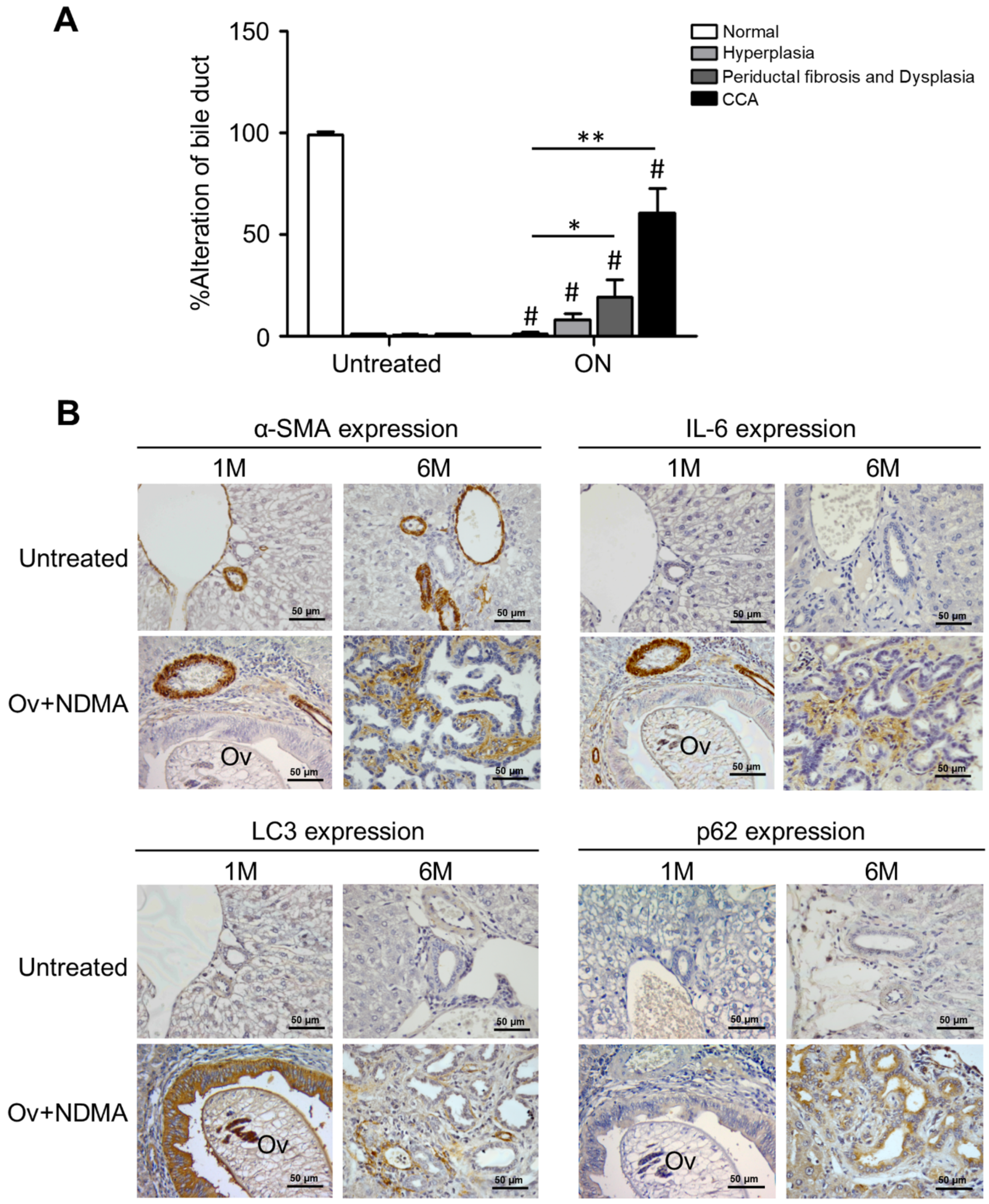 Cancers 13 02134 g009