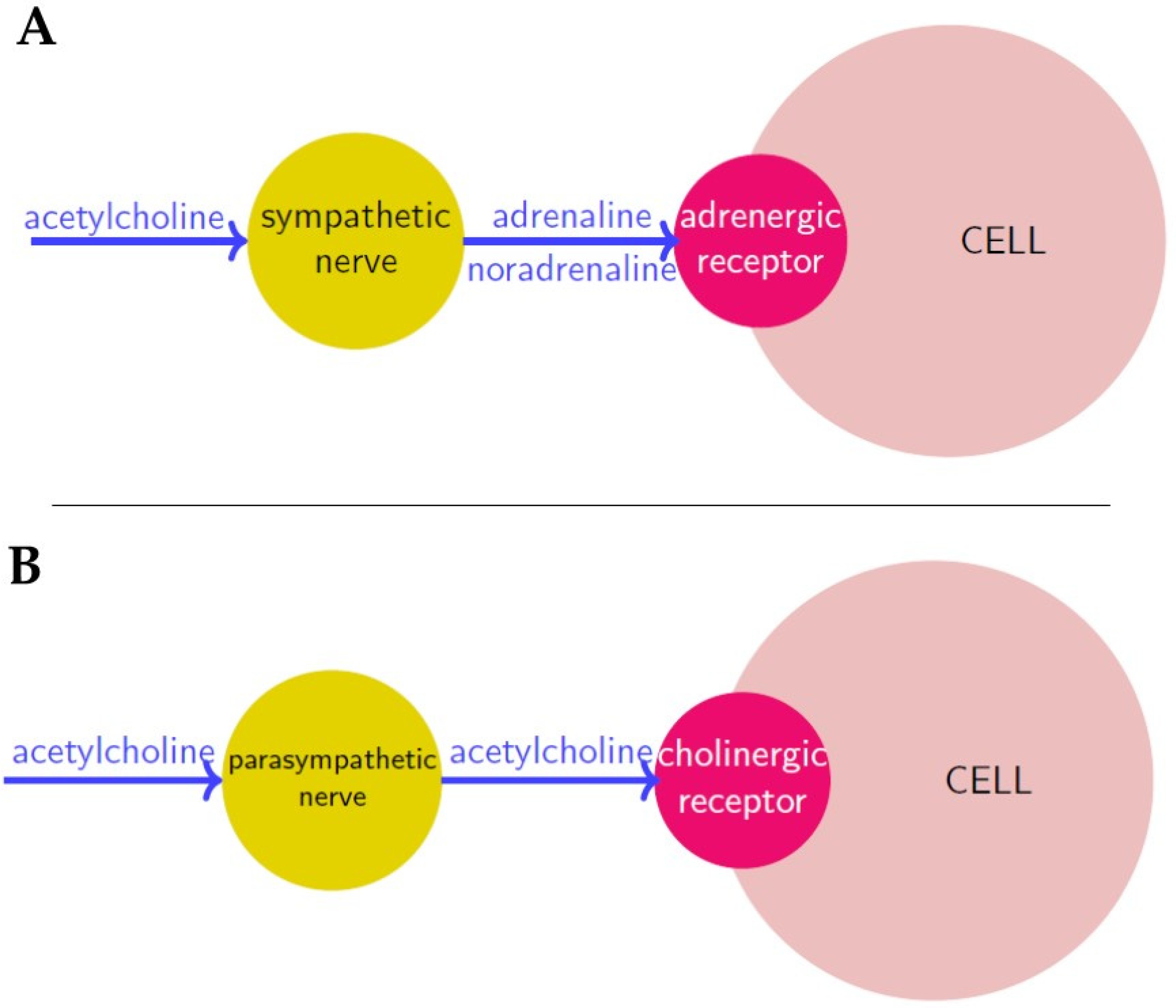 Cancers 13 02138 g001