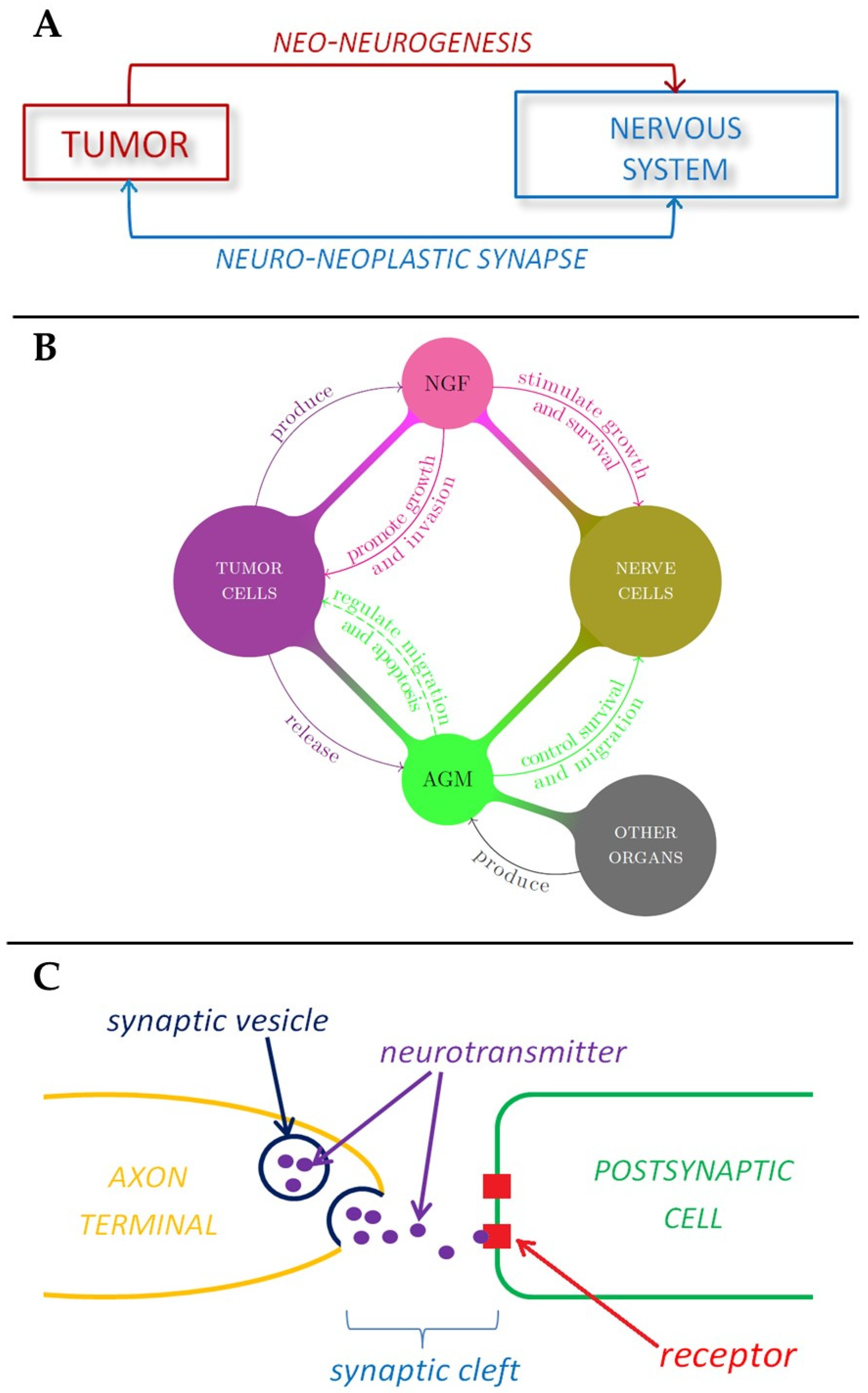 Cancers 13 02138 g002