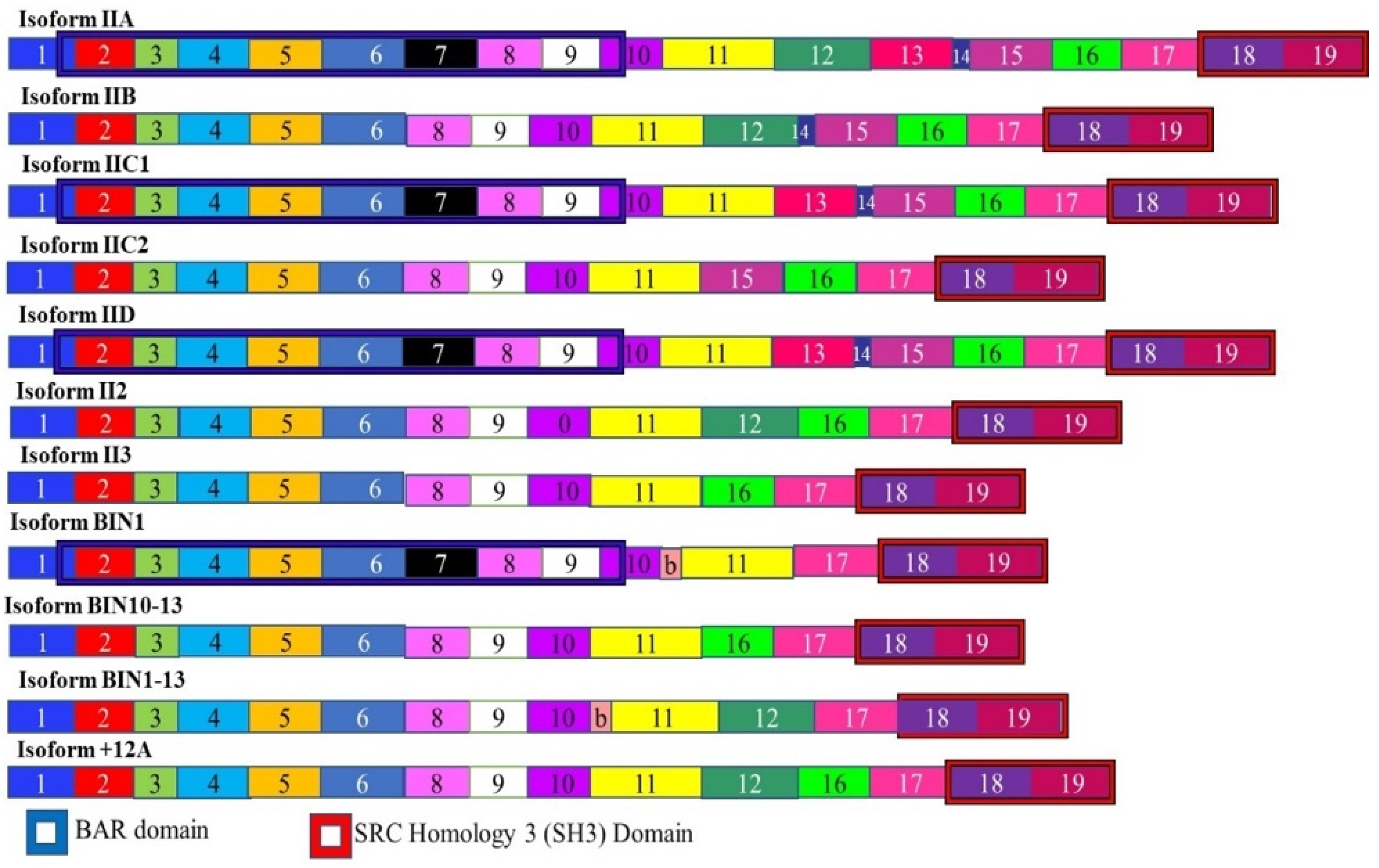 Cancers 13 02138 g007