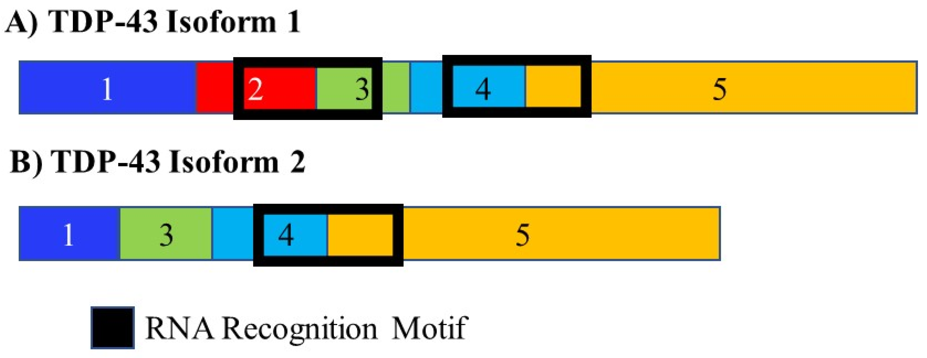 Cancers 13 02138 g009