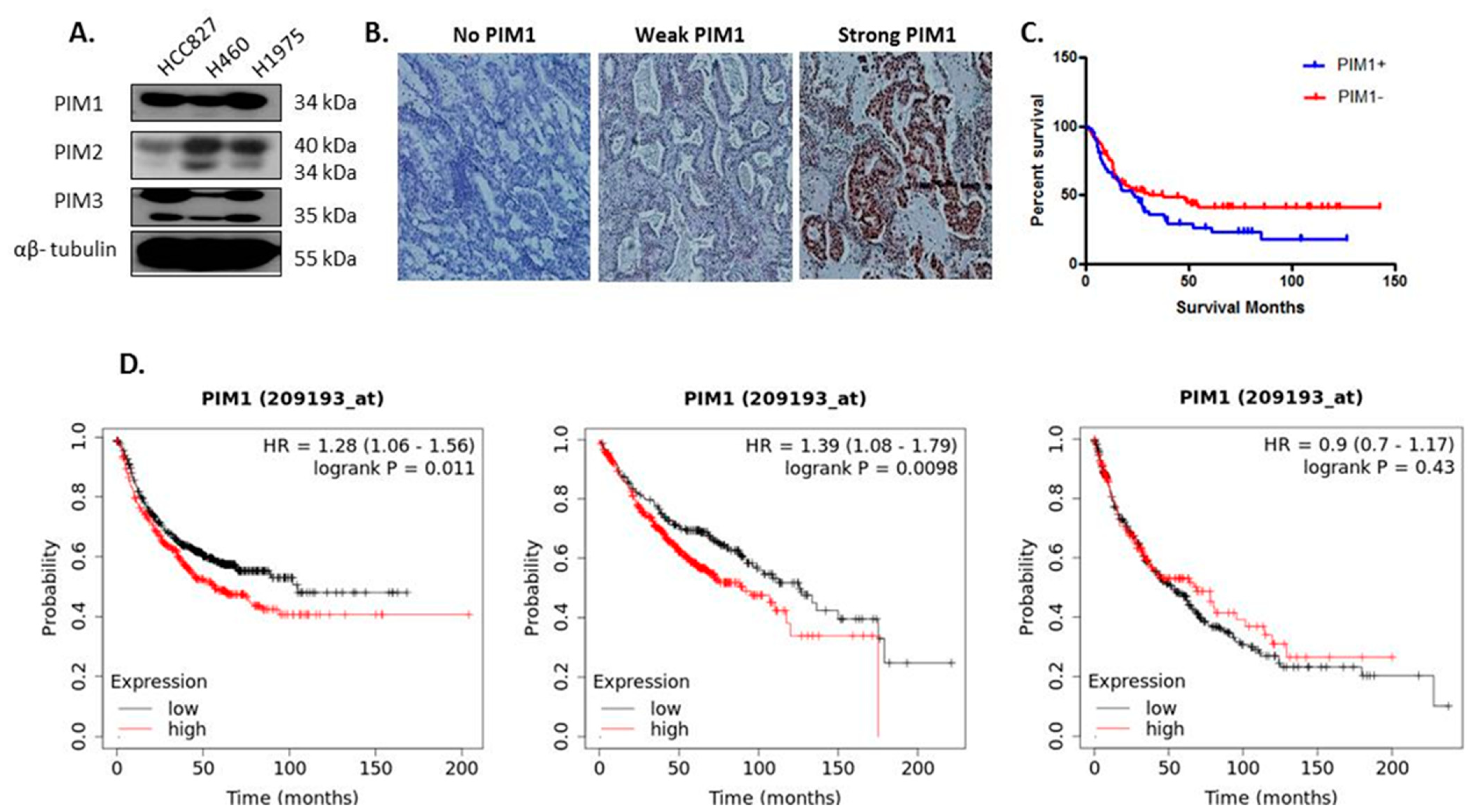Cancers 13 02139 g001 Cancers 13 02139 g001