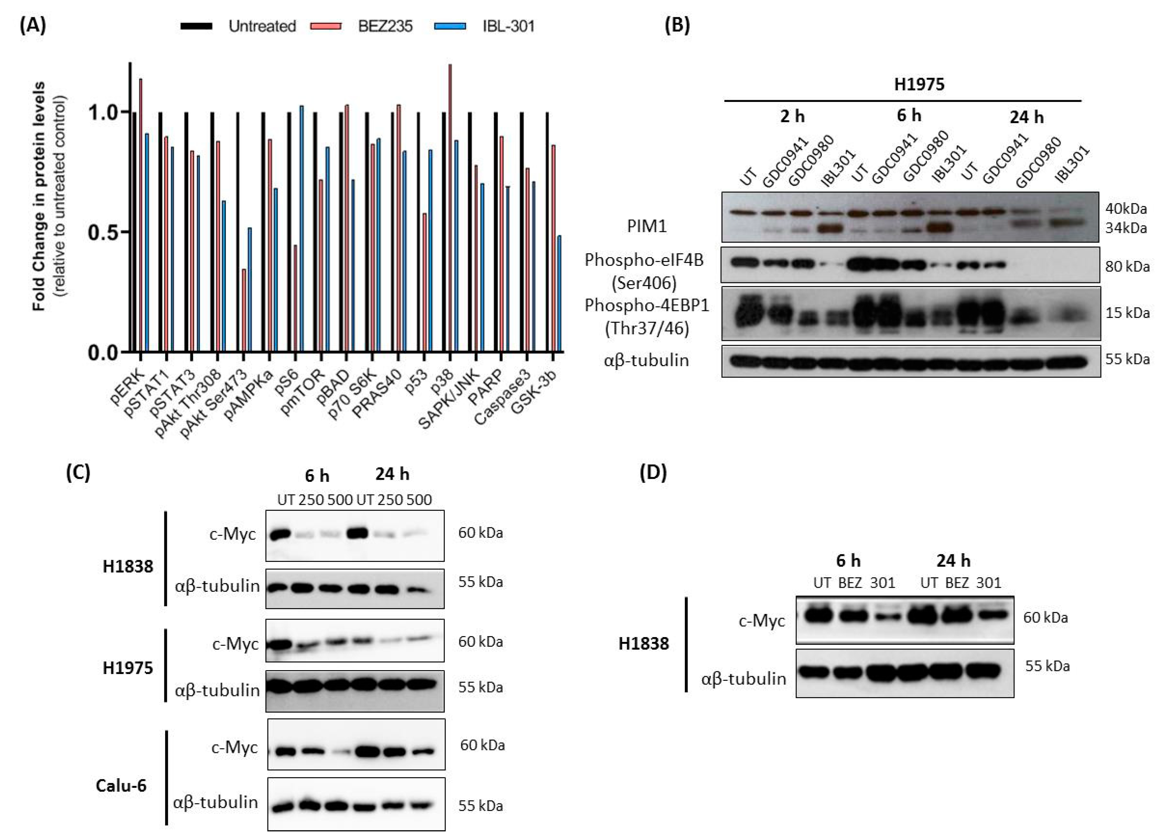 Cancers 13 02139 g003 Cancers 13 02139 g003