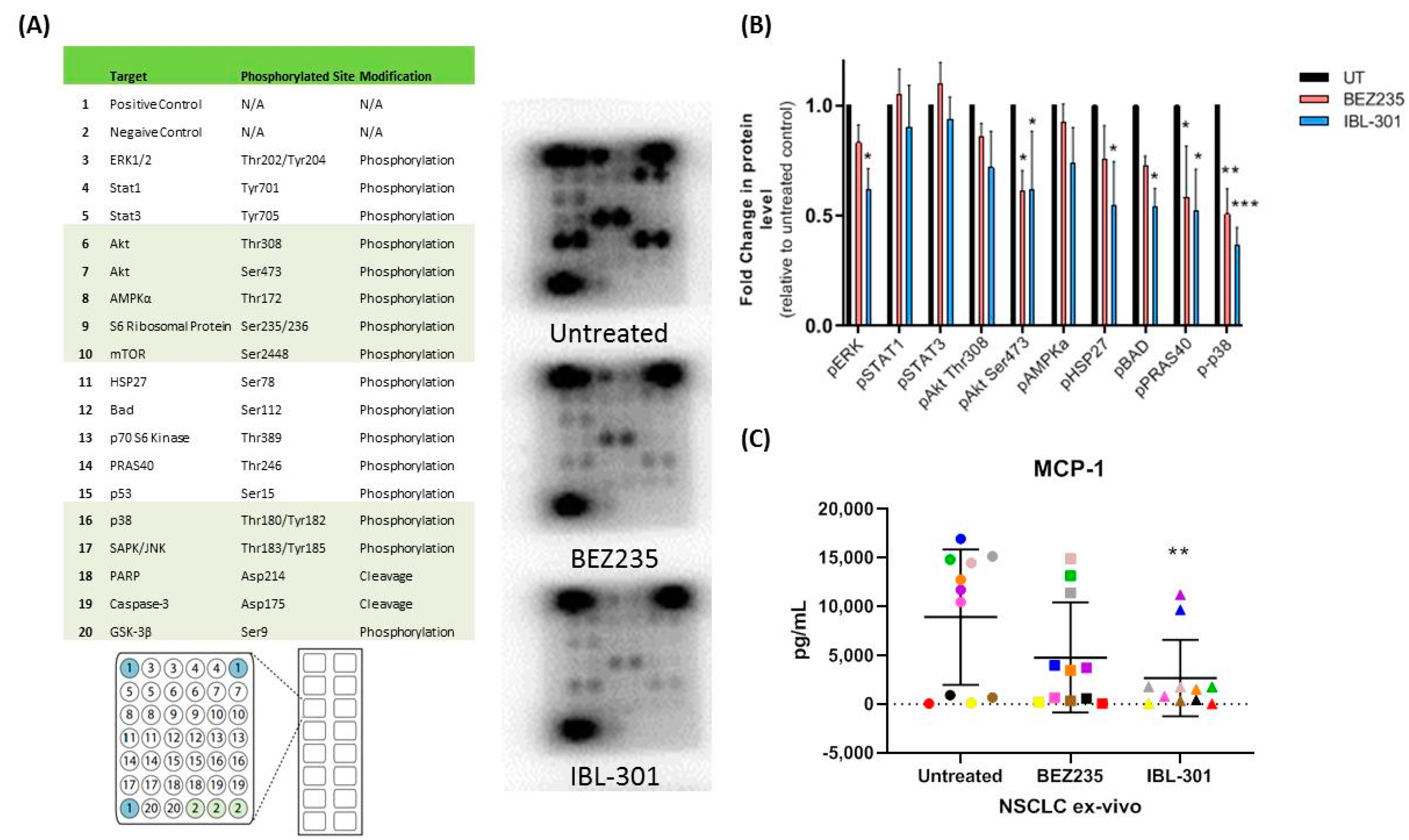 Cancers 13 02139 g004 Cancers 13 02139 g004