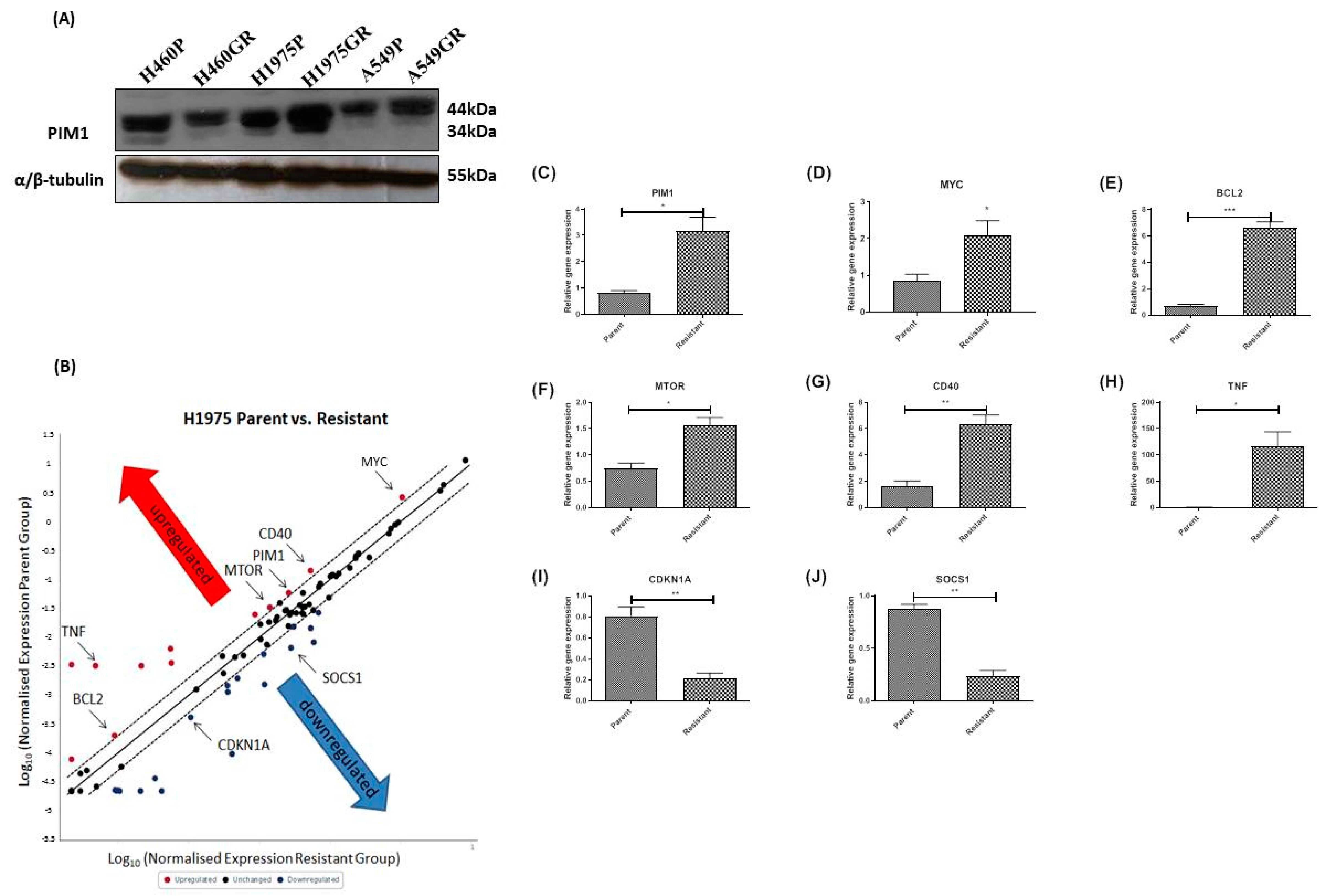 Cancers 13 02139 g005 Cancers 13 02139 g005