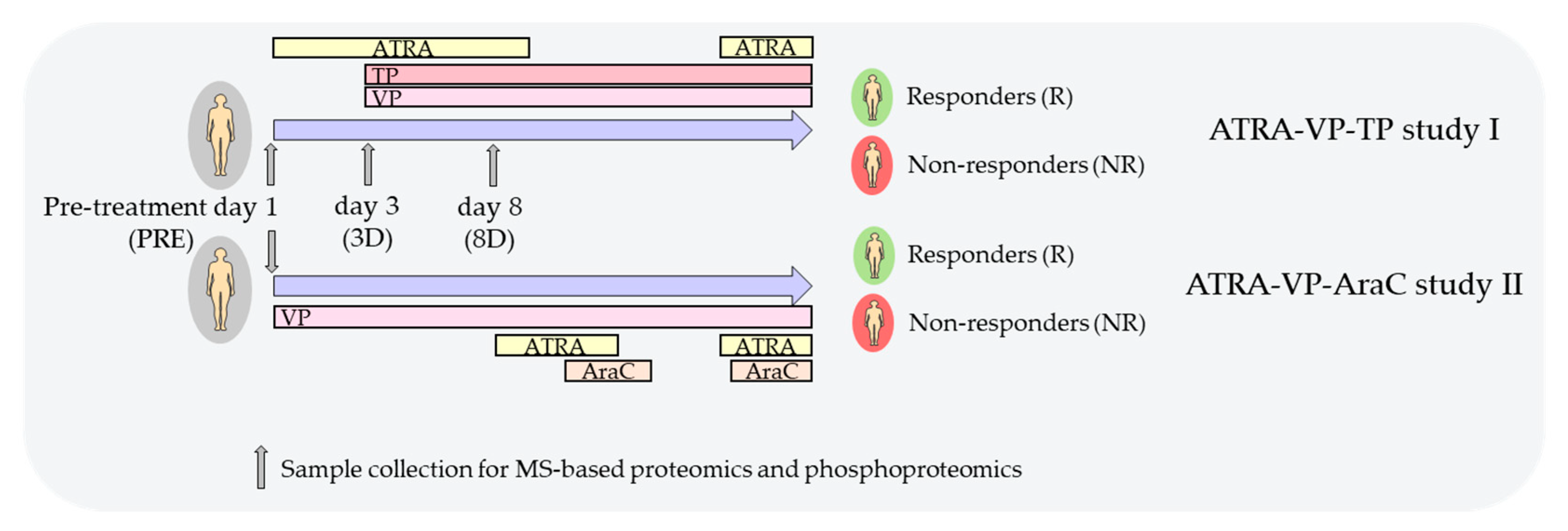 Cancers 13 02143 g001