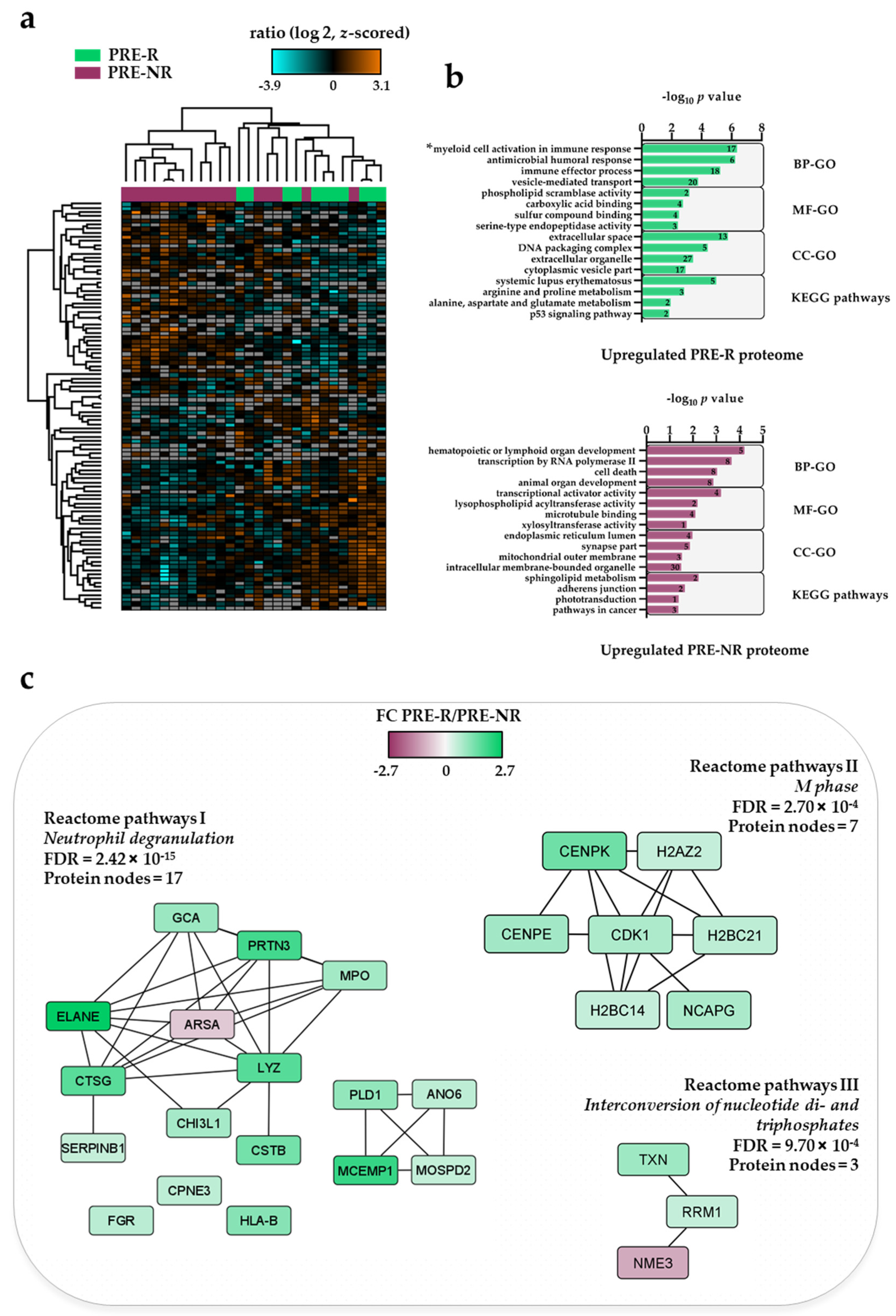 Cancers 13 02143 g002