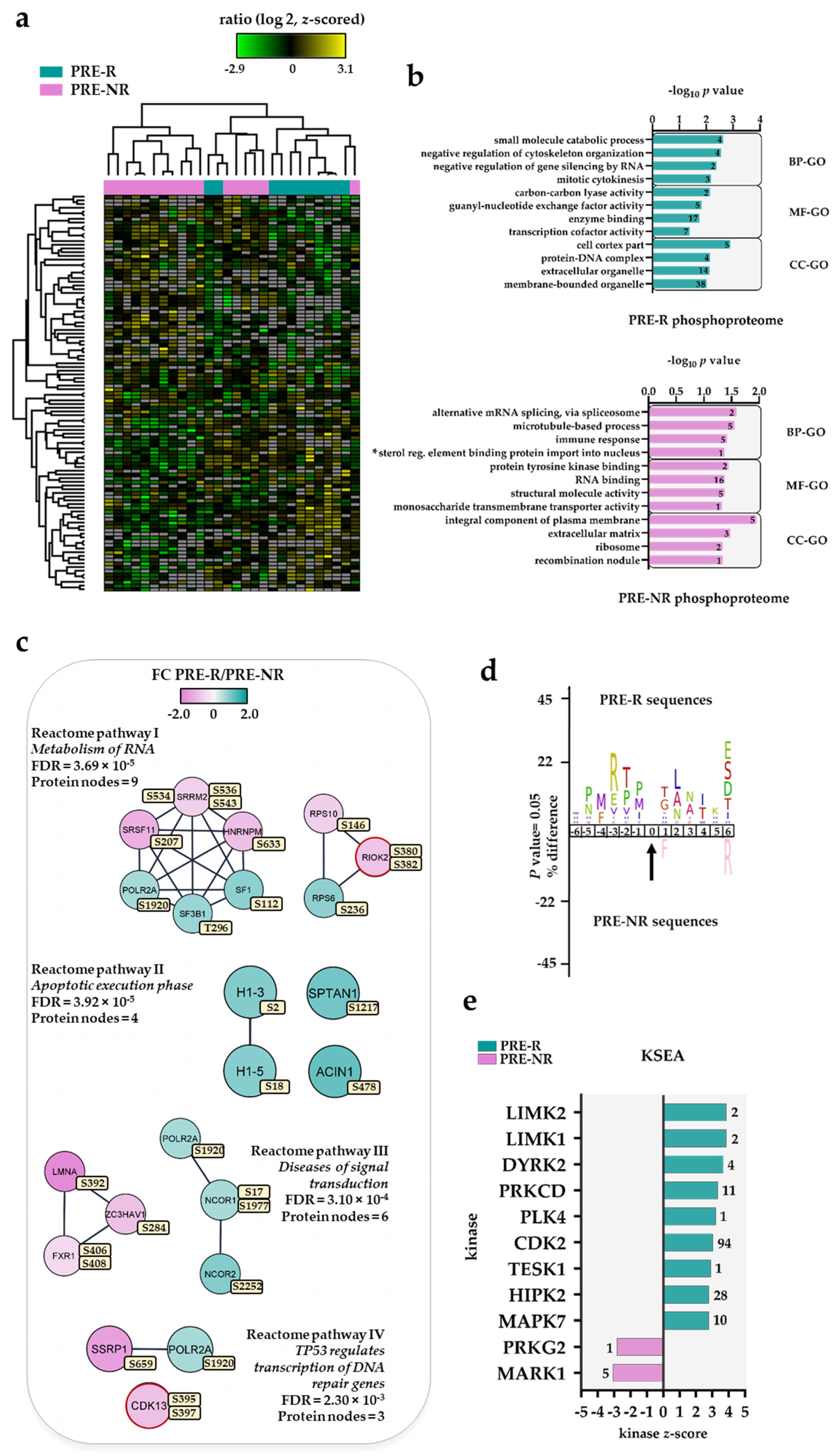 Cancers 13 02143 g003