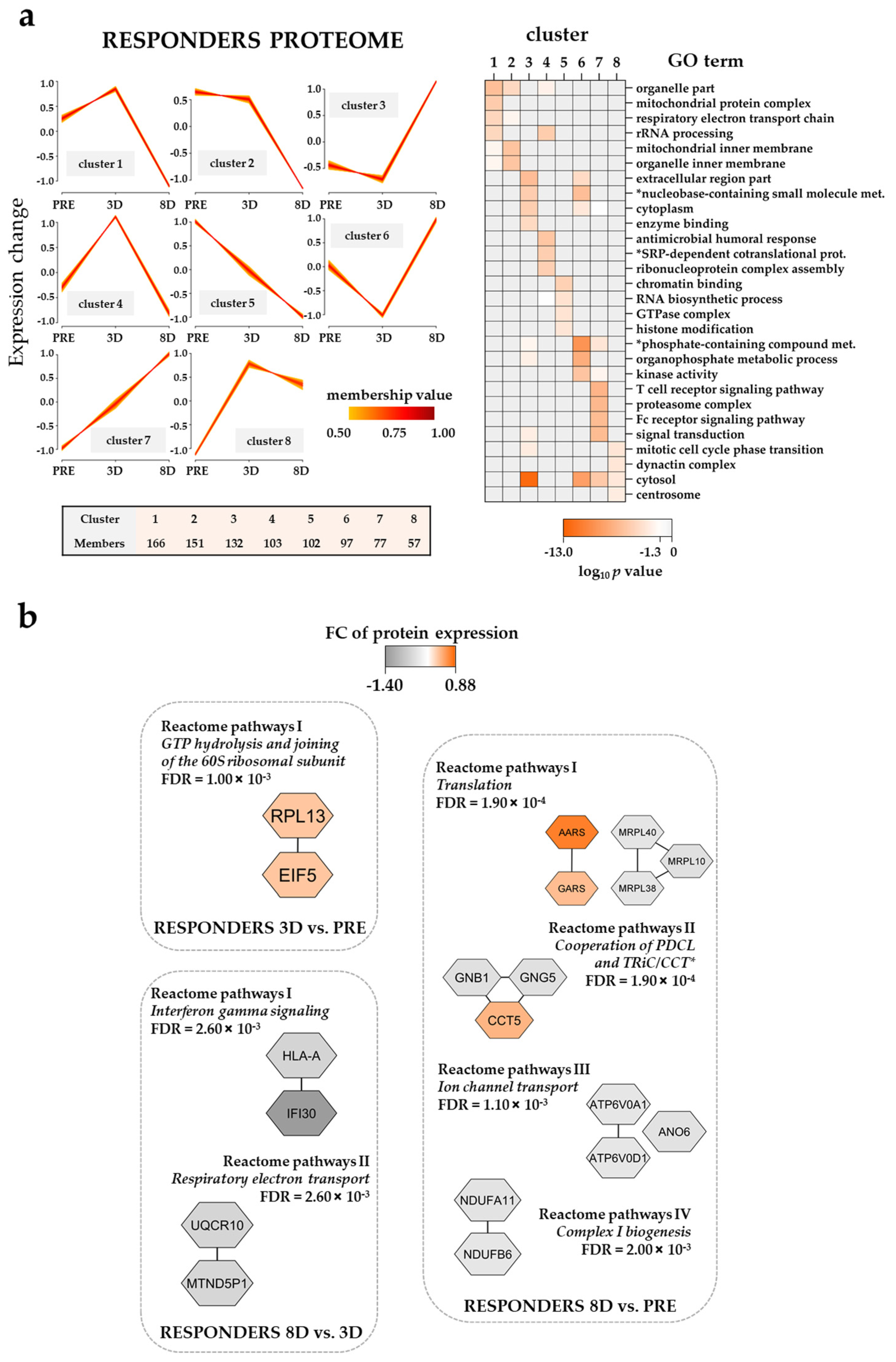 Cancers 13 02143 g004