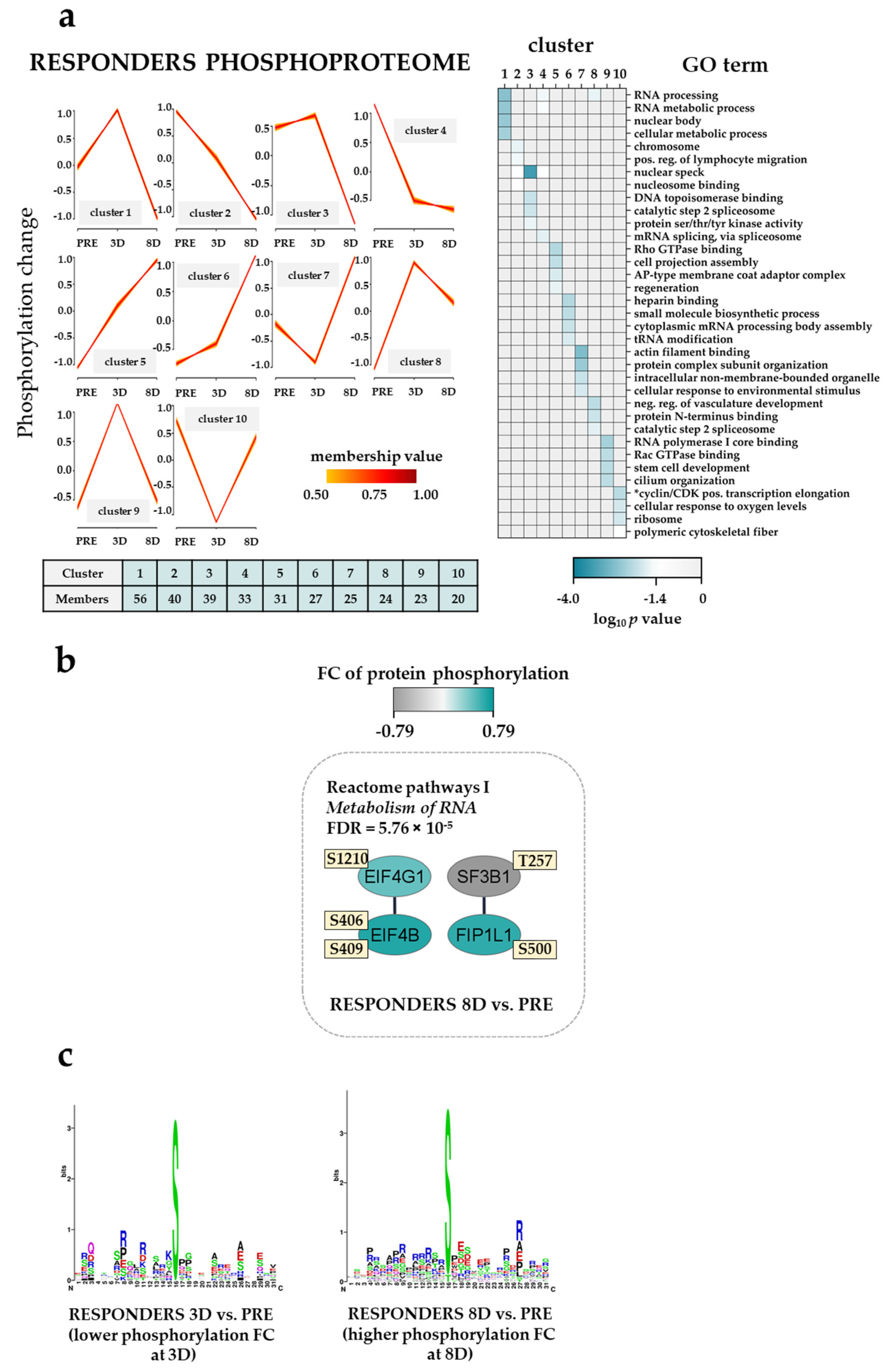 Cancers 13 02143 g006