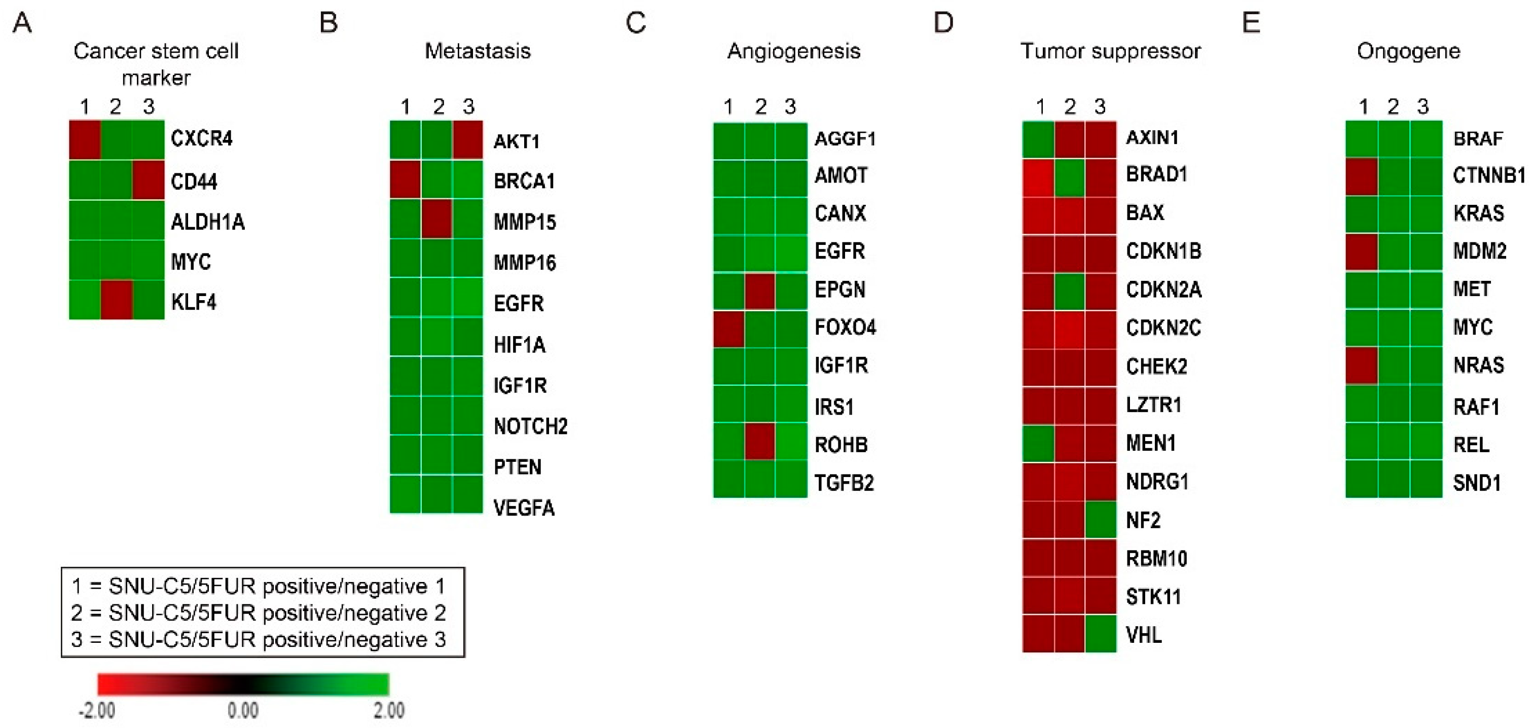 Cancers 13 02144 g002