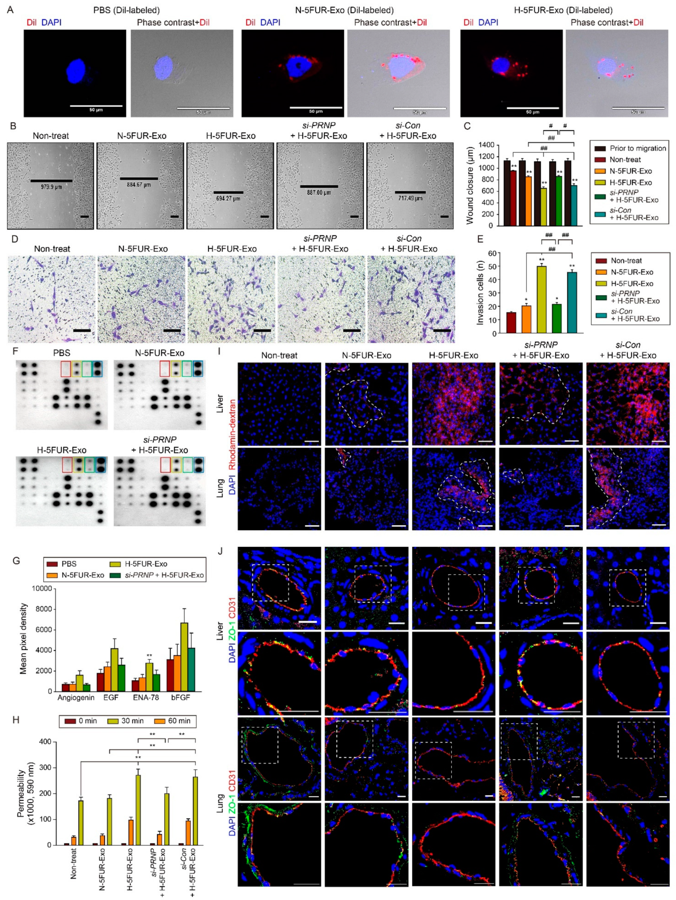 Cancers 13 02144 g005