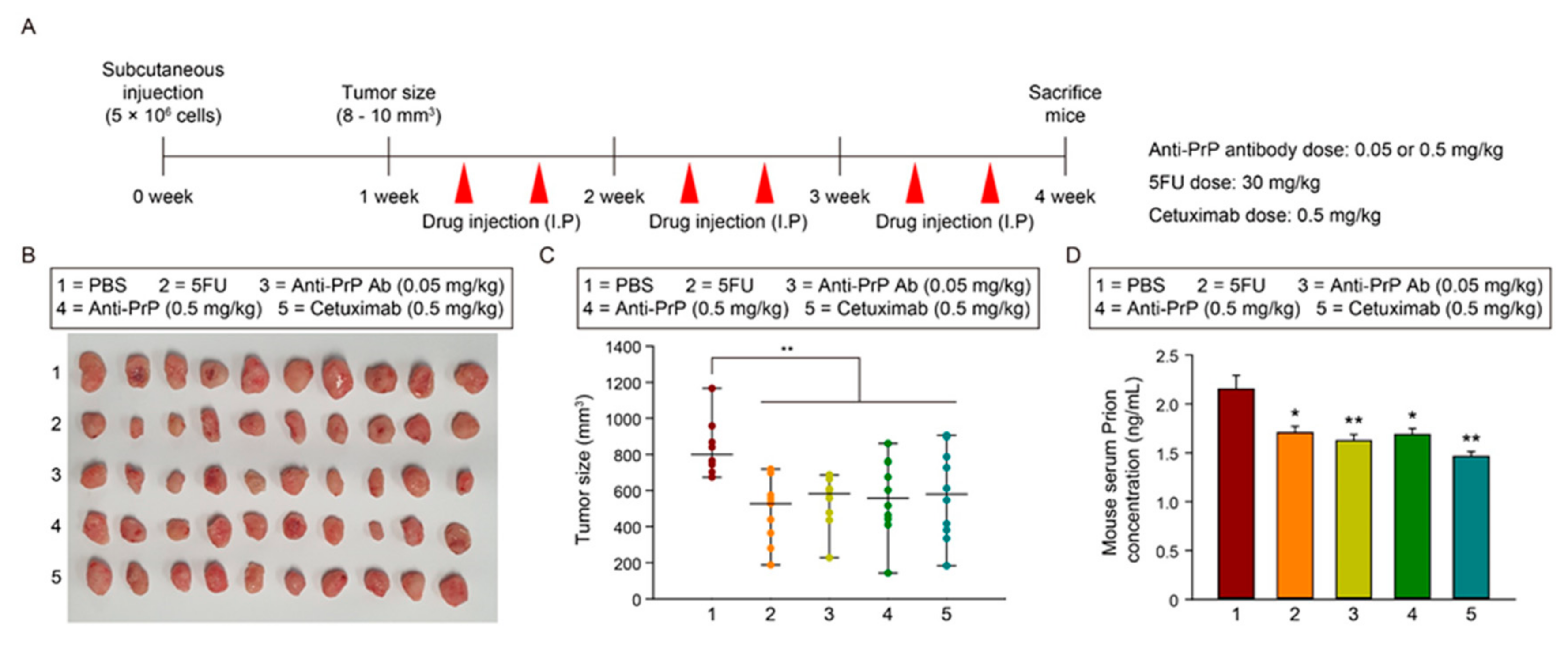 Cancers 13 02144 g006