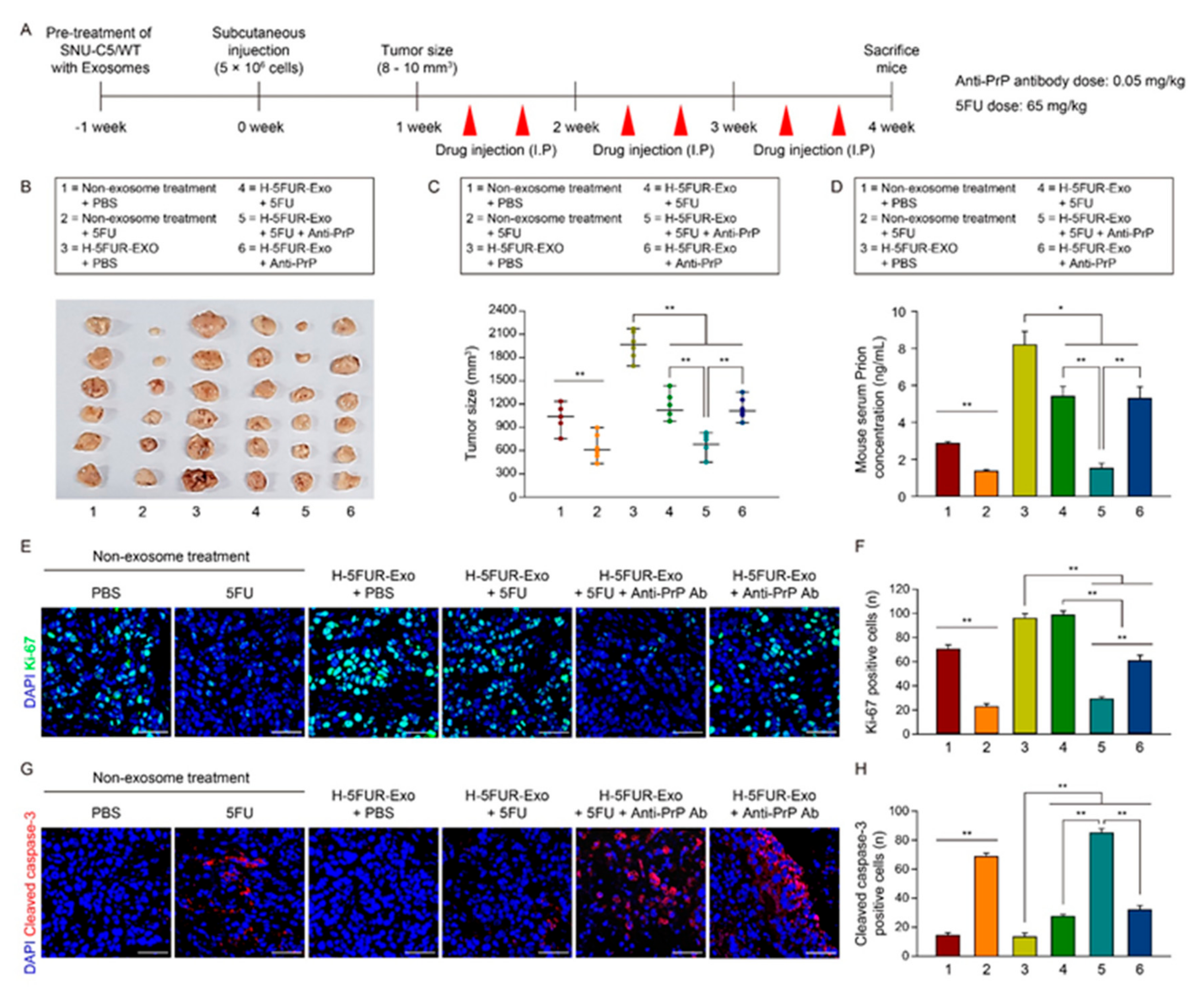 Cancers 13 02144 g007