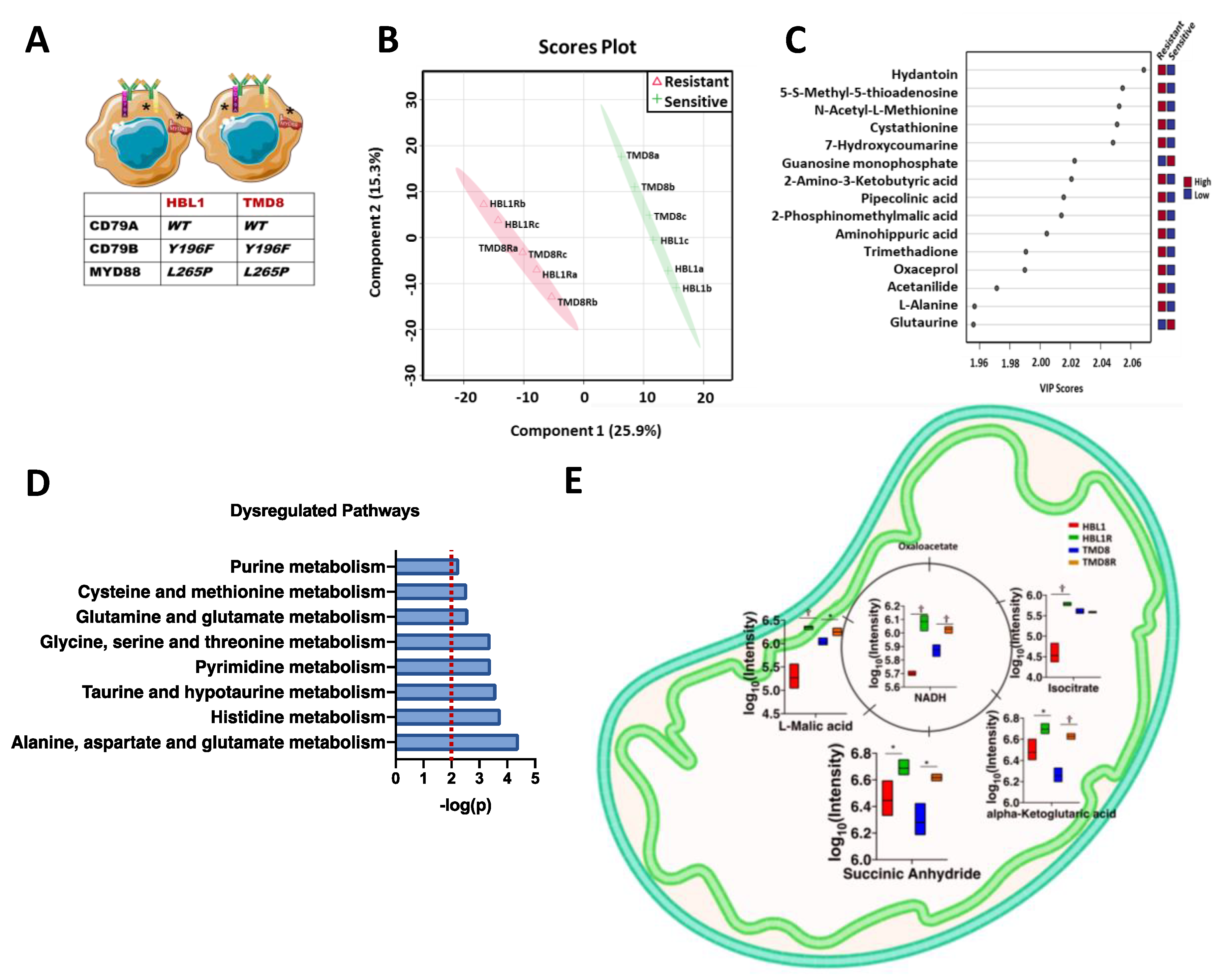 Cancers 13 02146 g001