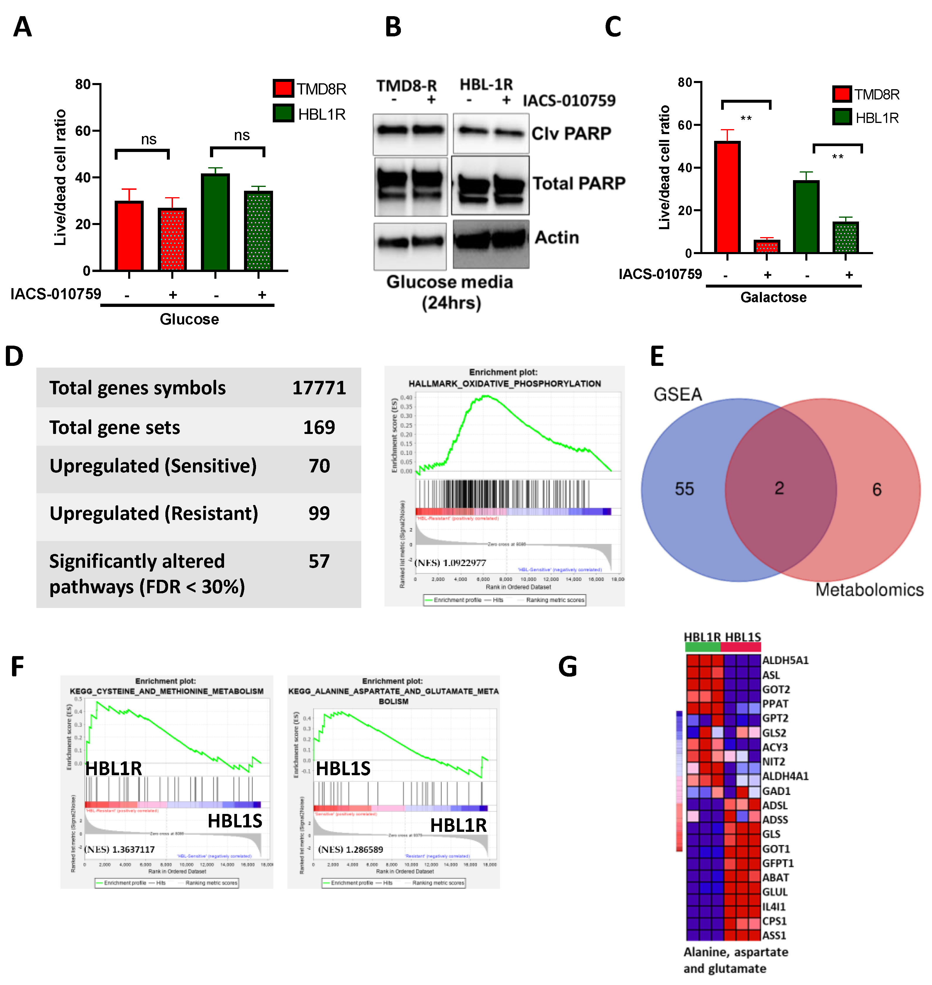 Cancers 13 02146 g002