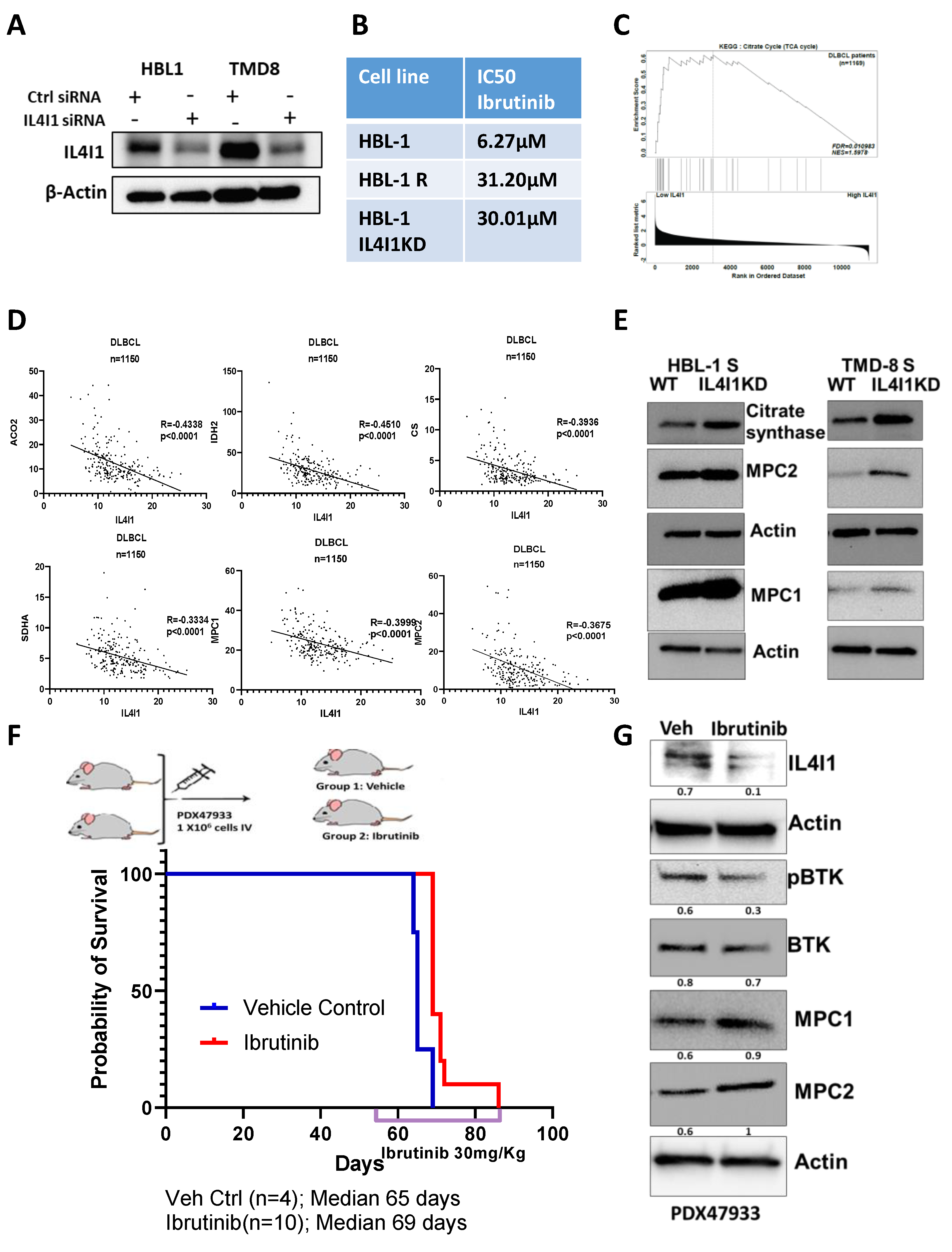 Cancers 13 02146 g005