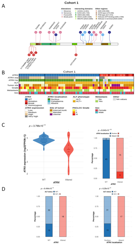 Cancers 13 02151 g001