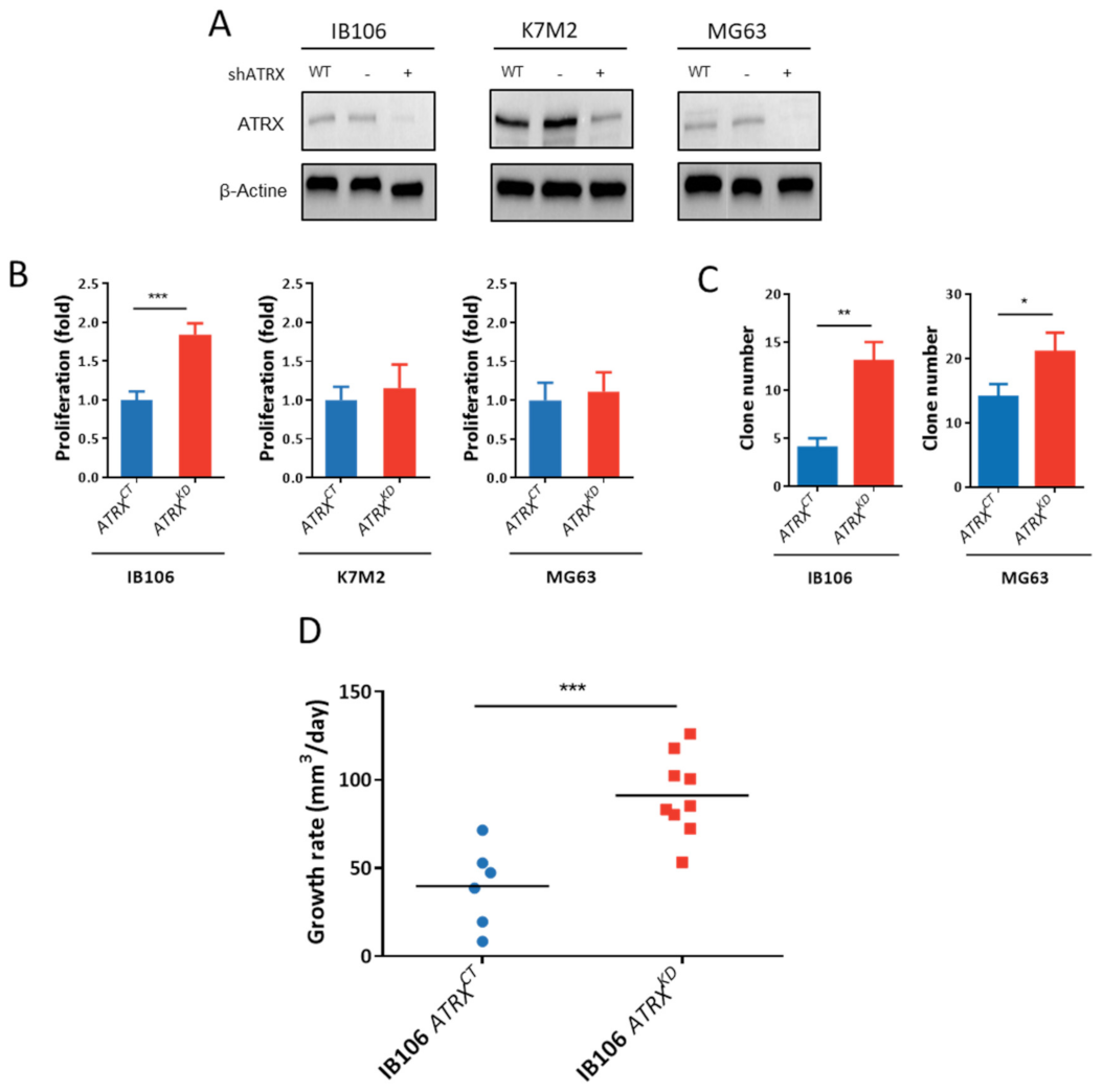 Cancers 13 02151 g005