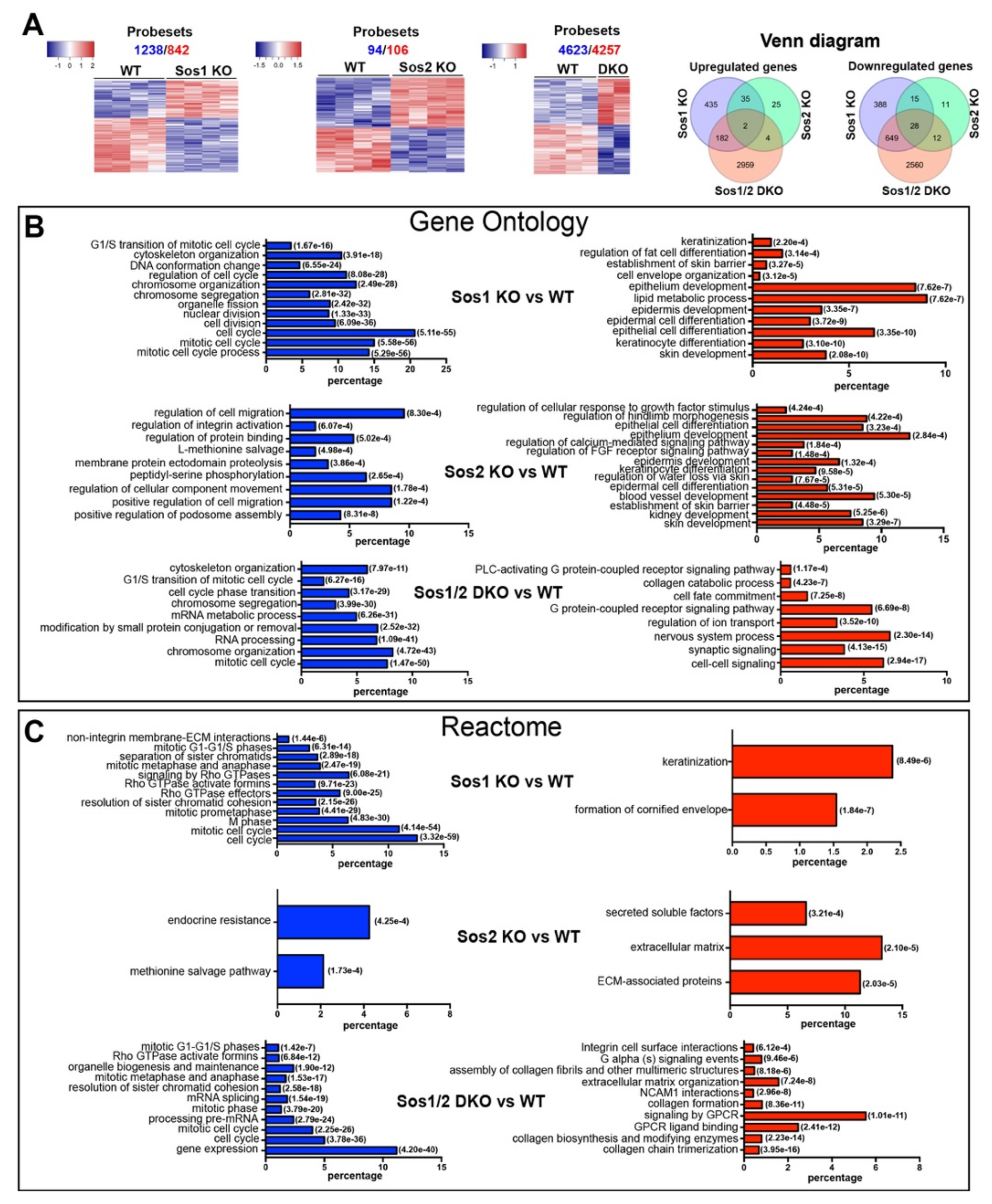 Cancers 13 02152 g001 Cancers 13 02152 g001