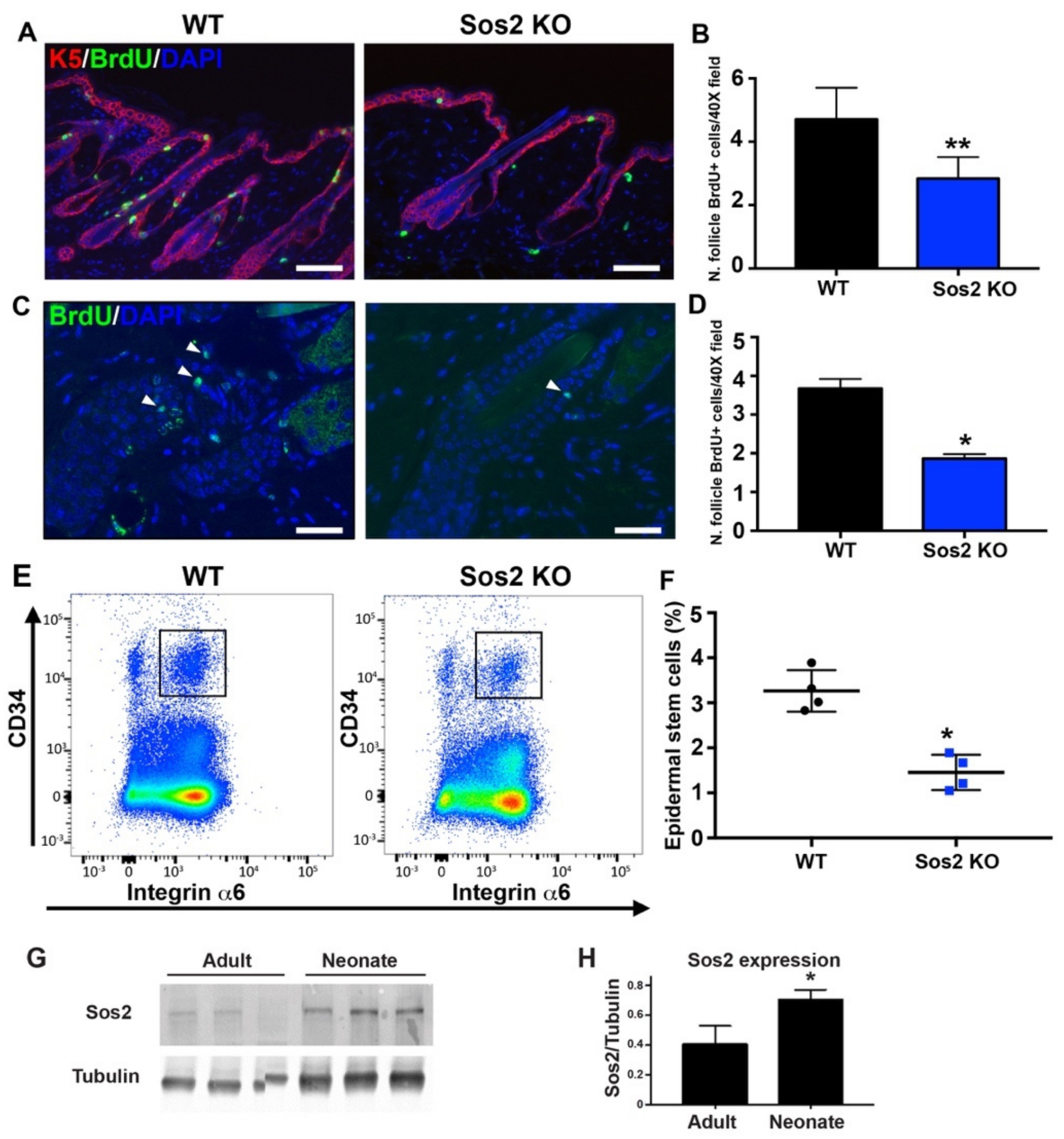 Cancers 13 02152 g007 Cancers 13 02152 g007