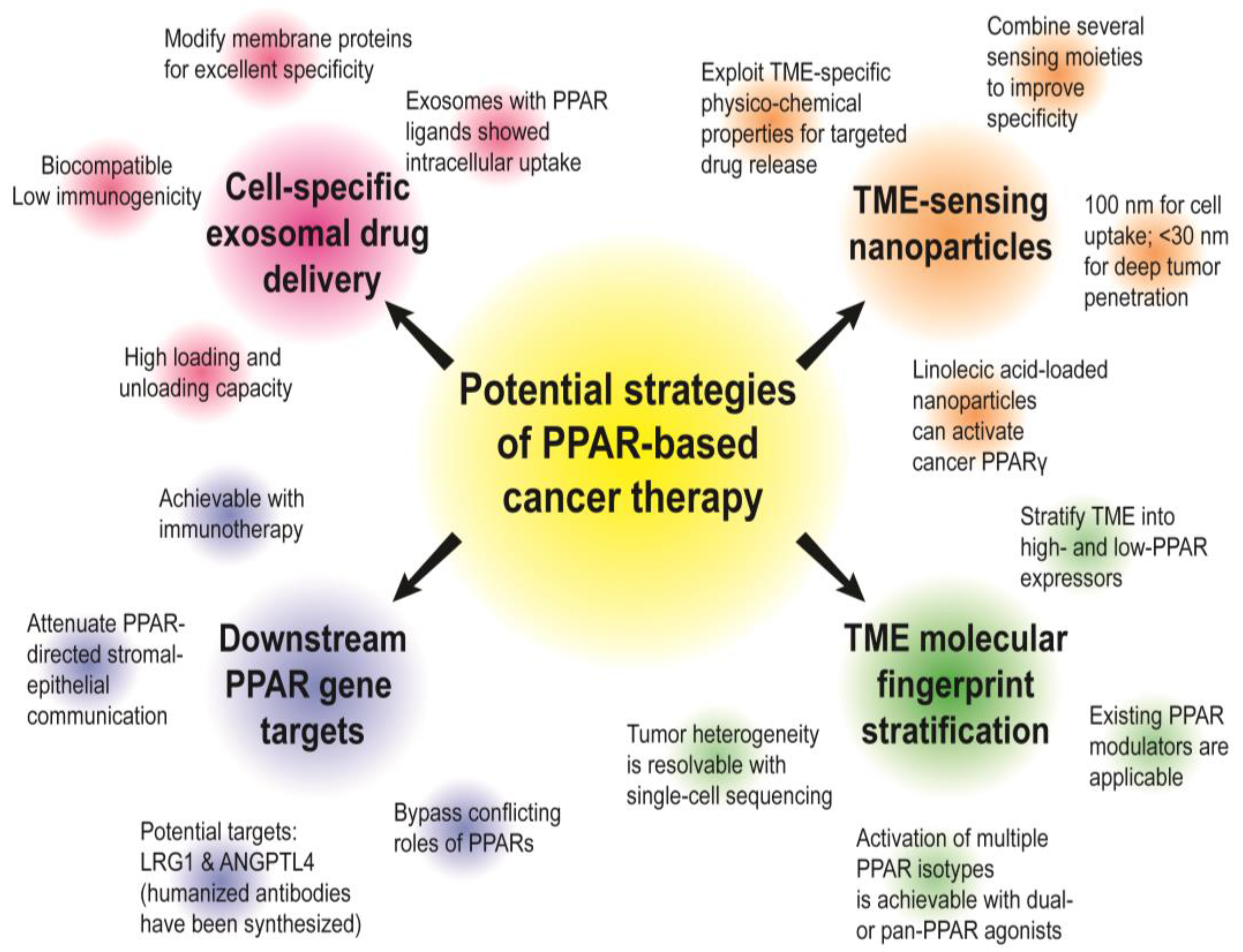 Cancers 13 02153 g006