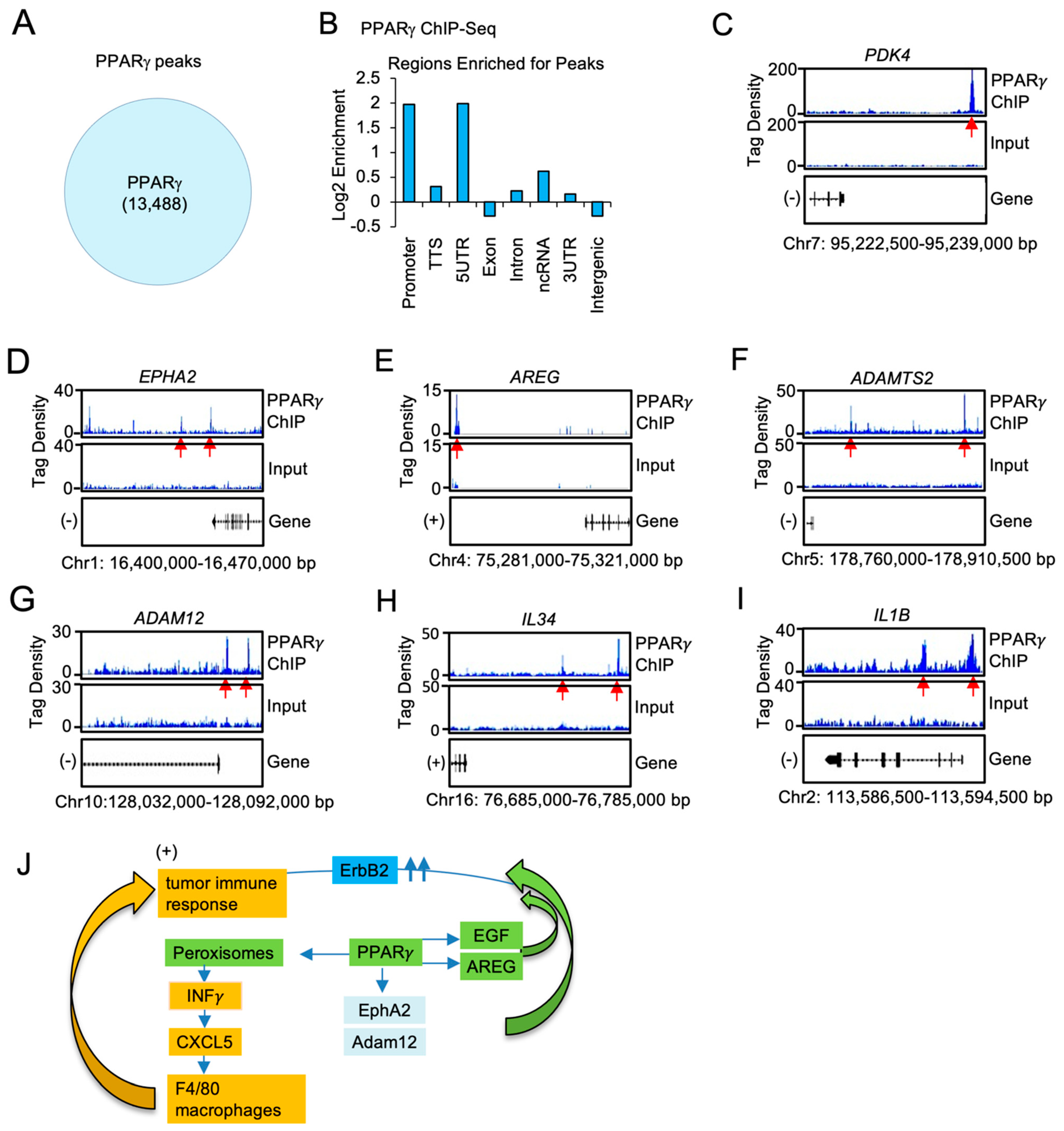 Cancers 13 02171 g006
