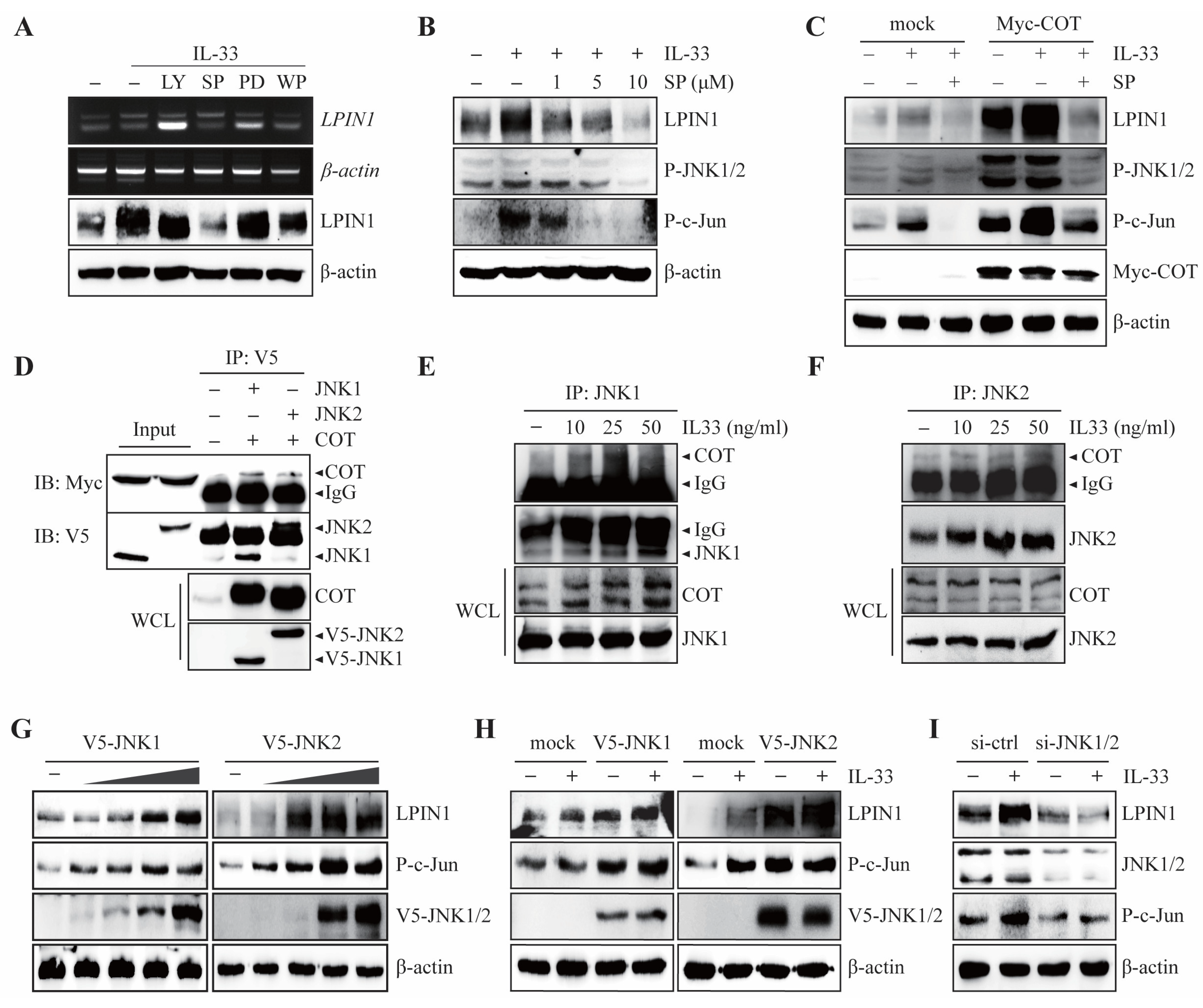 Cancers 13 02174 g003
