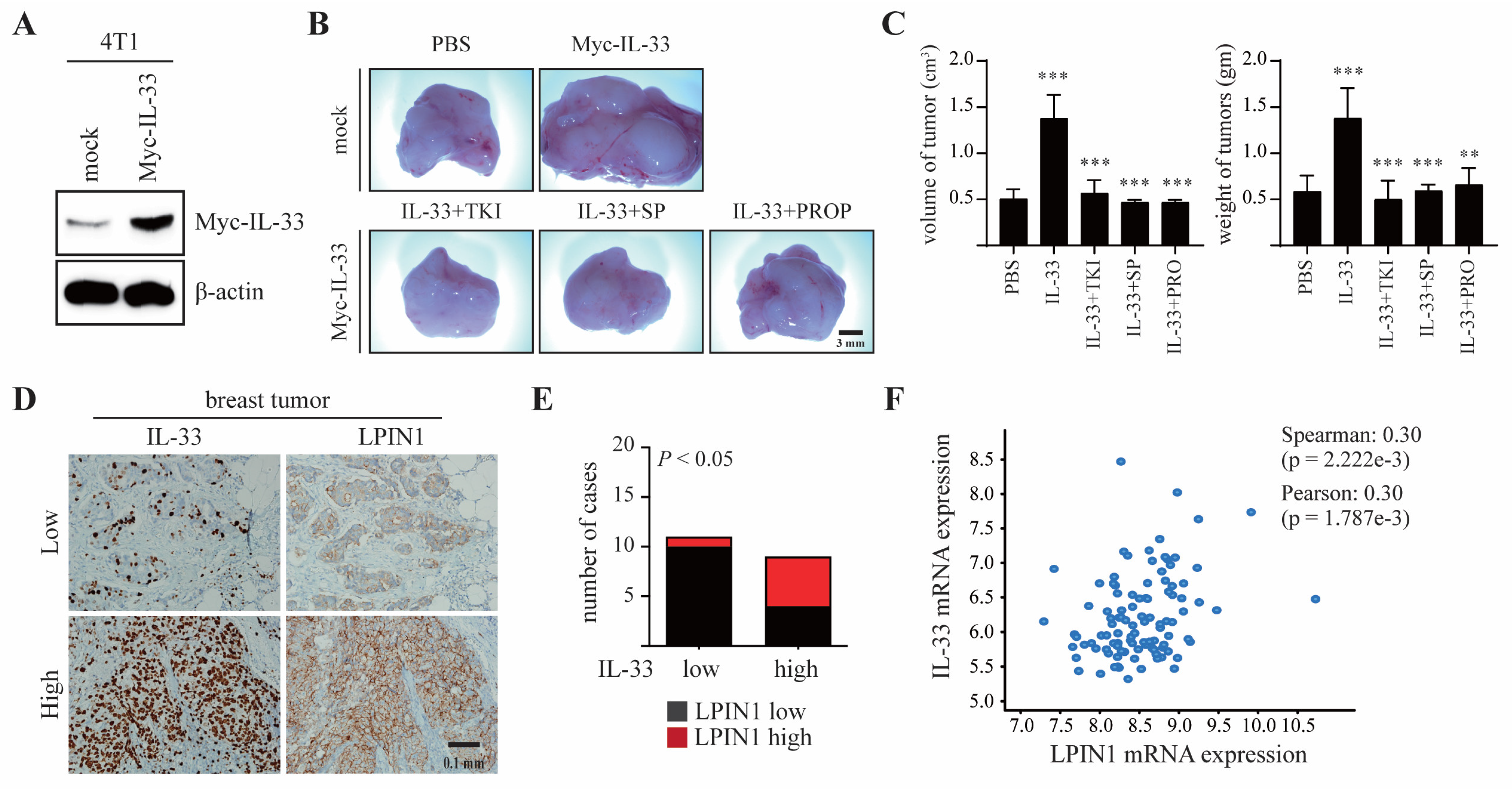 Cancers 13 02174 g006