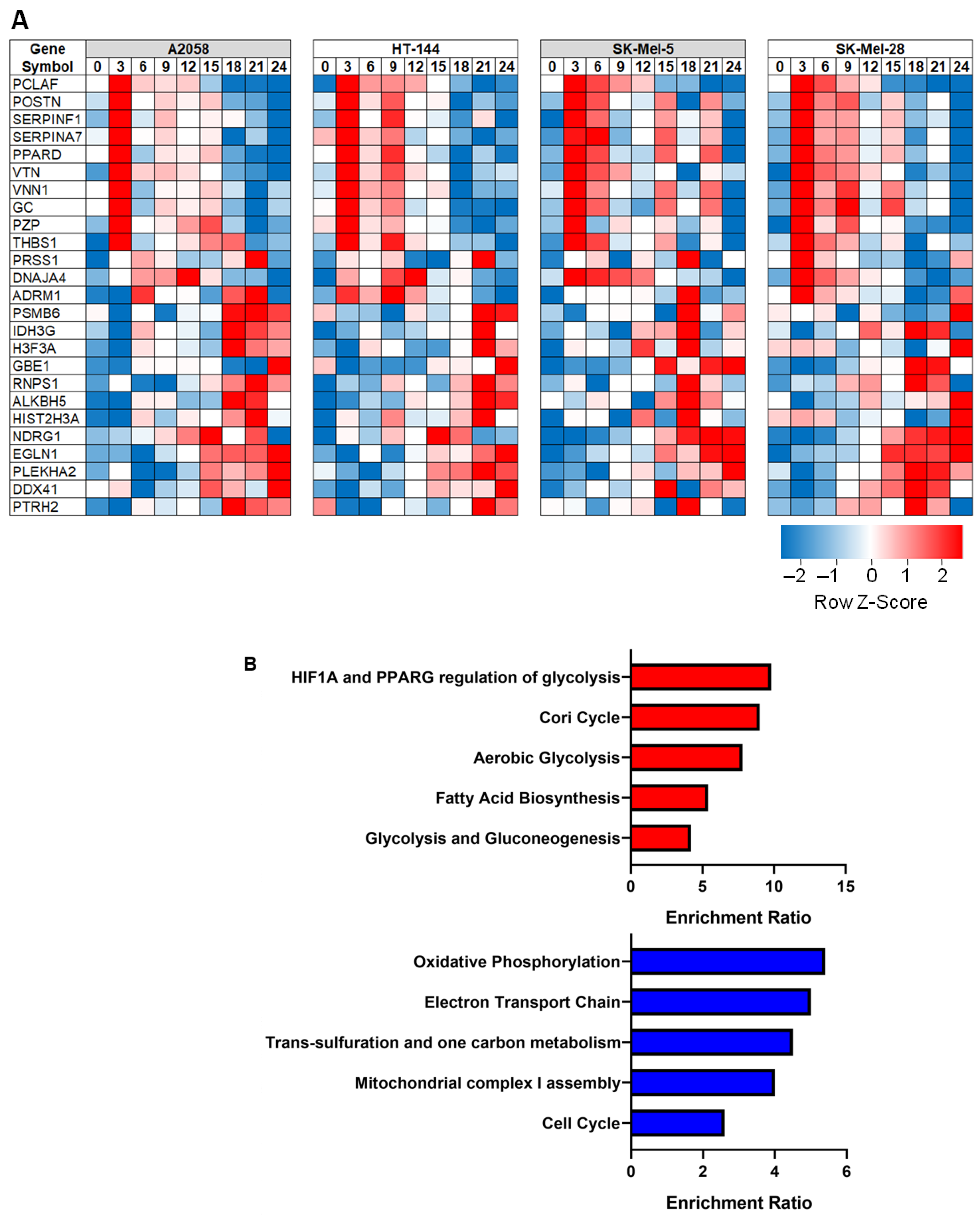 Cancers 13 02175 g002