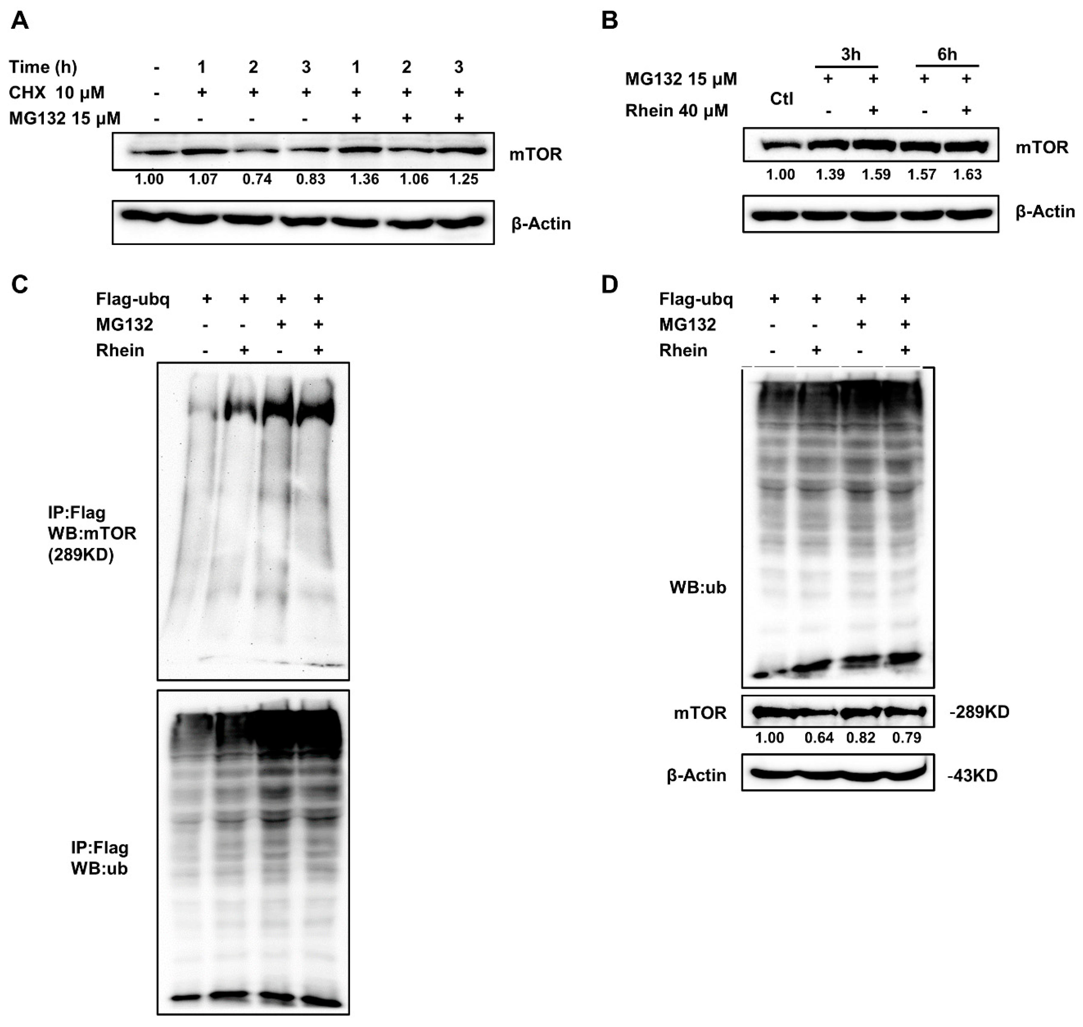 Cancers 13 02176 g005