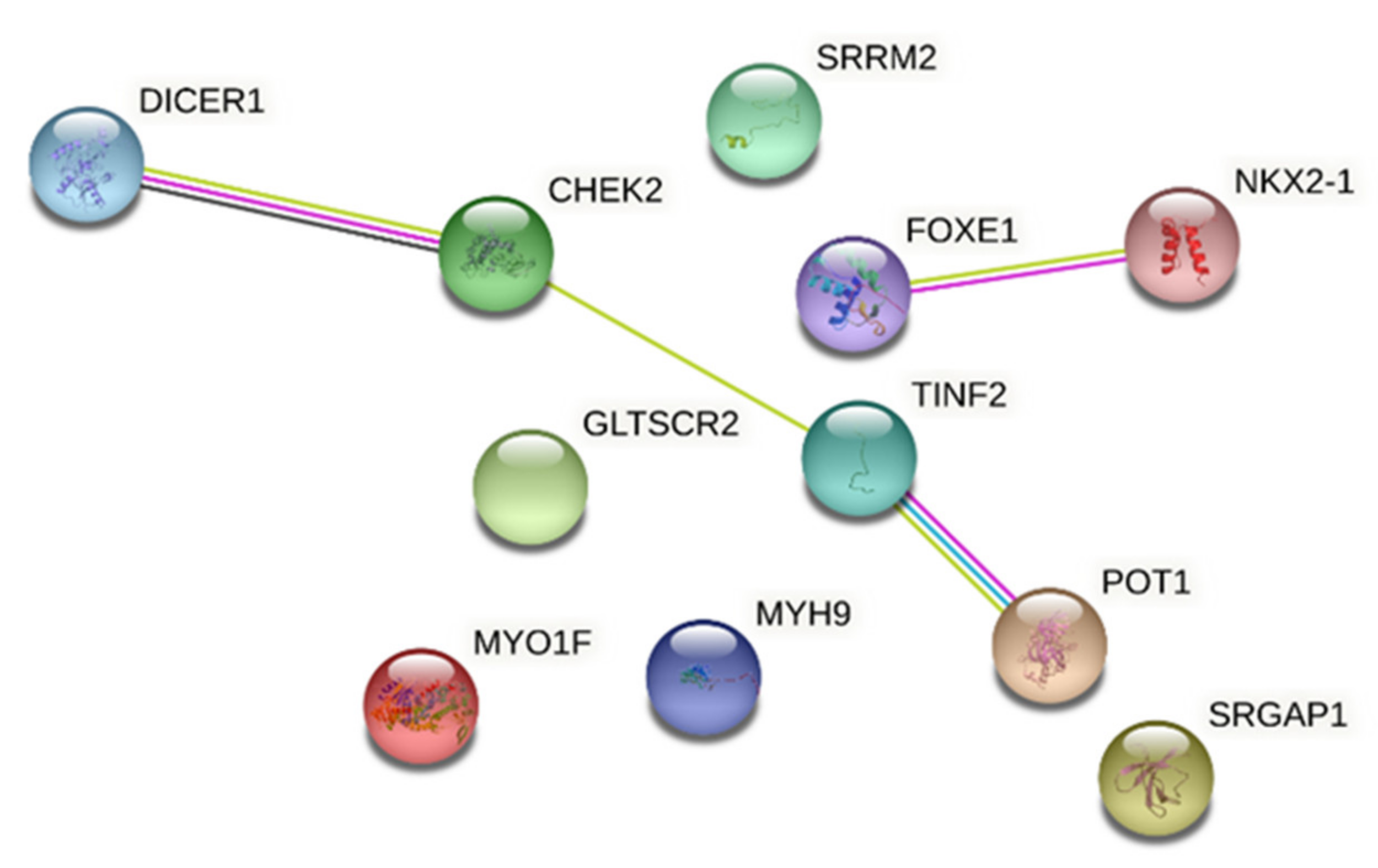 Cancers 13 02178 g002